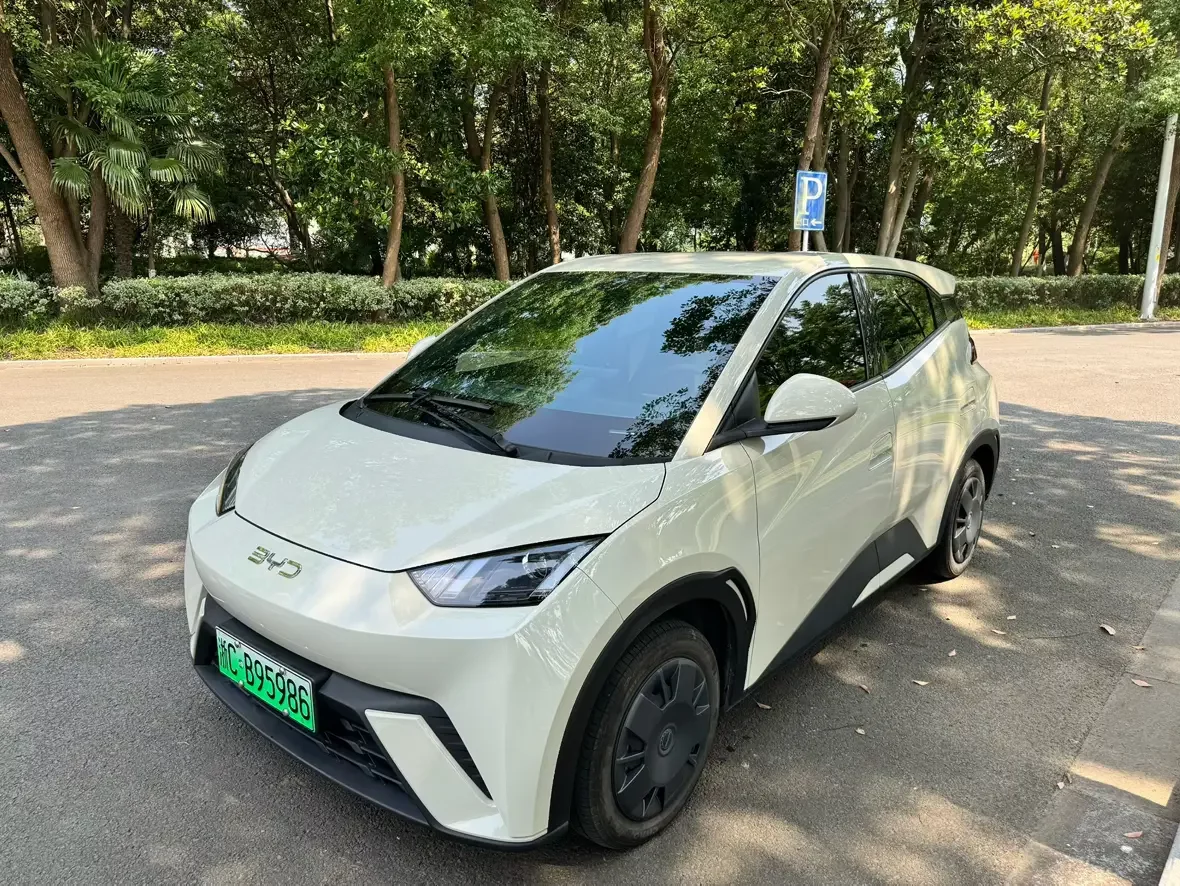 BYD seagull