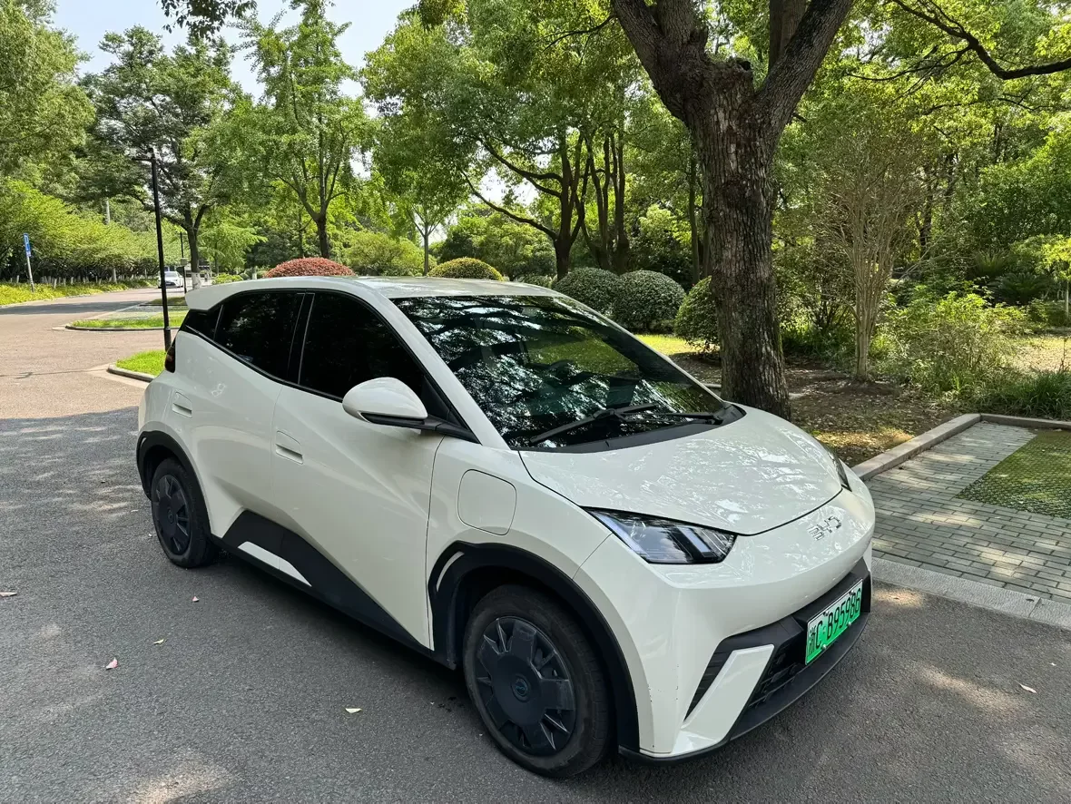 BYD seagull