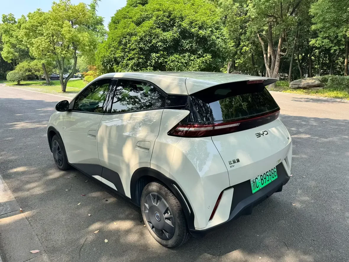BYD seagull