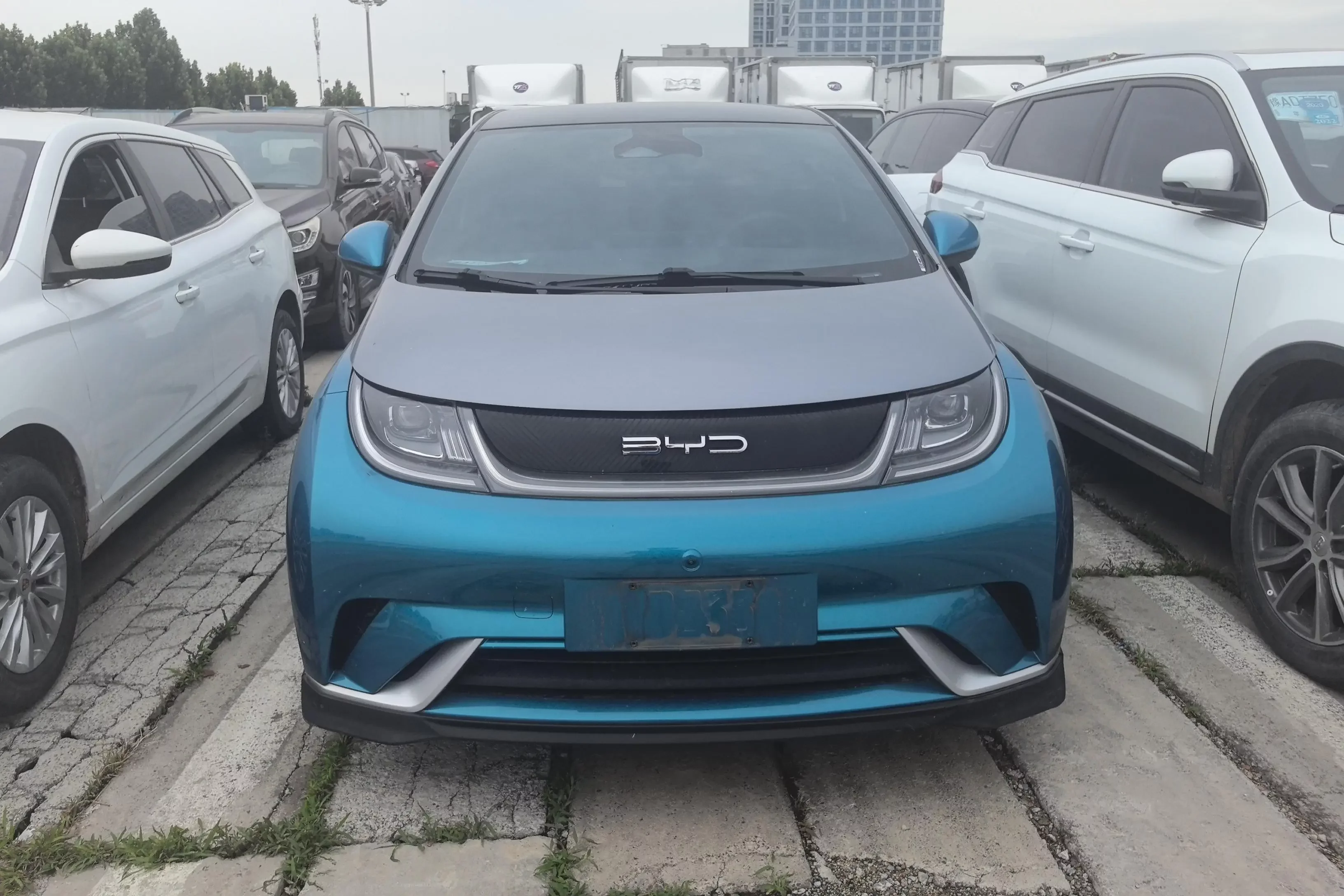 BYD dolphin