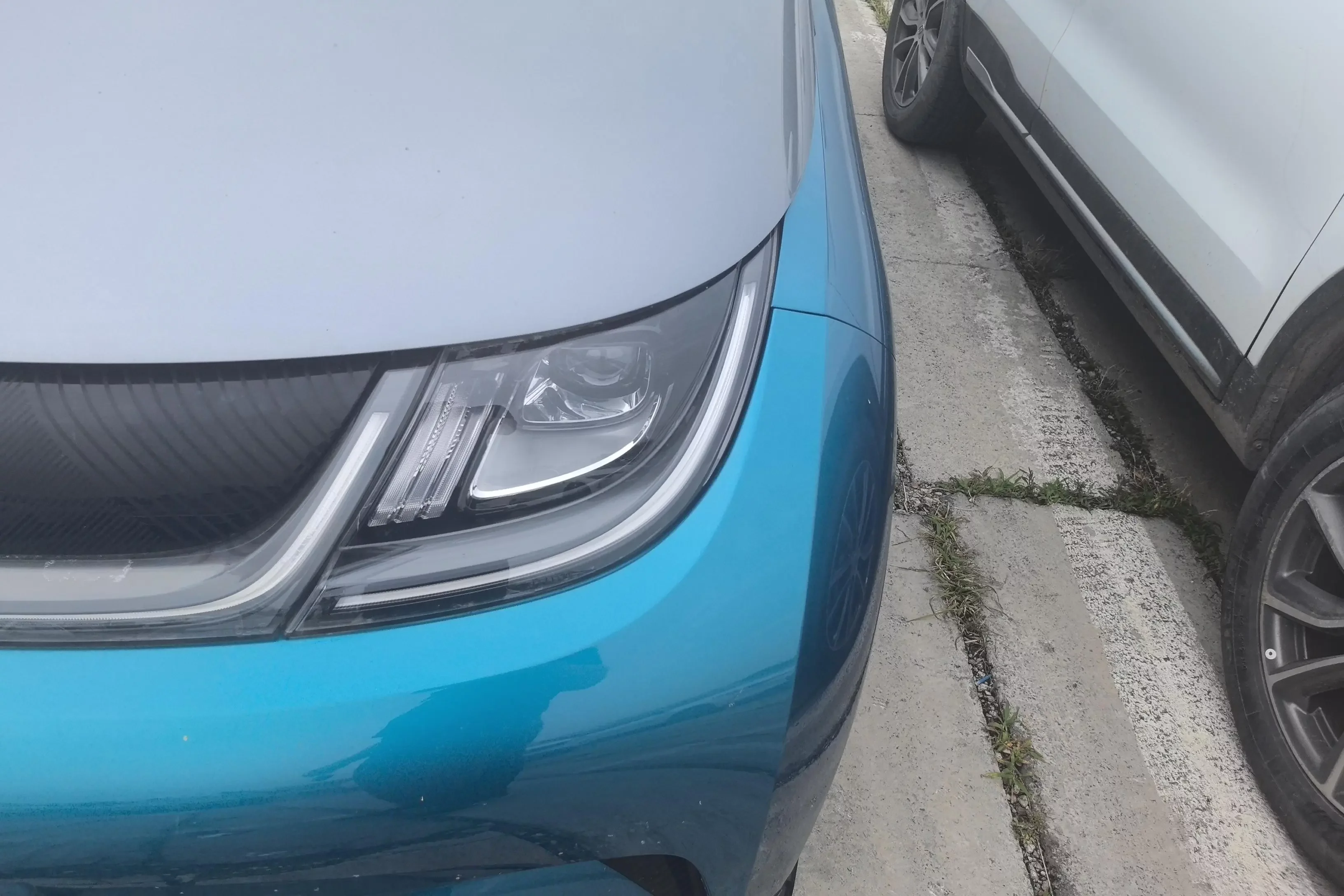 BYD dolphin