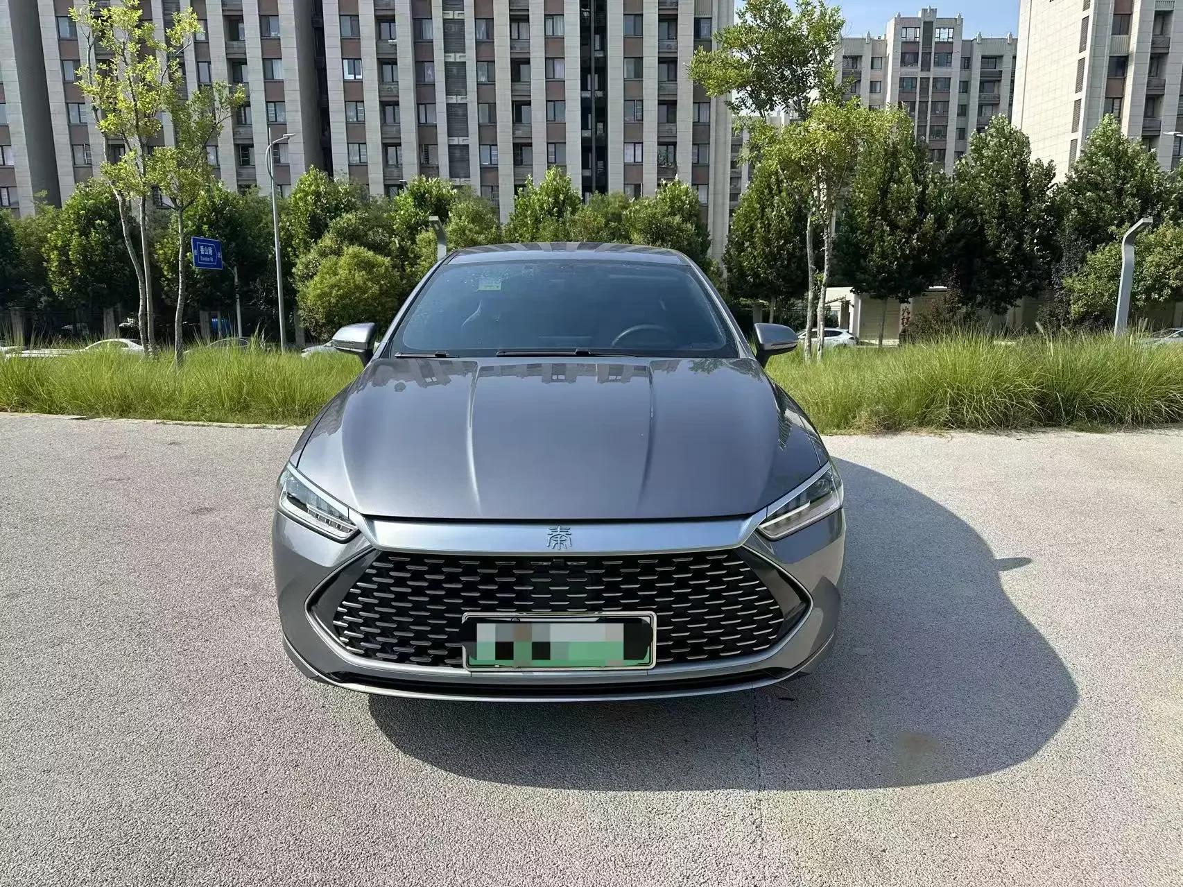 BYD Qin PLUS DM