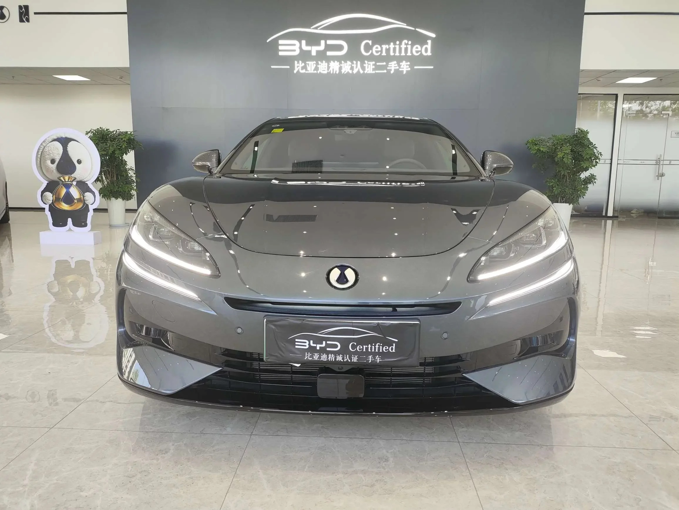 Denza Tengzhong Z9 DM