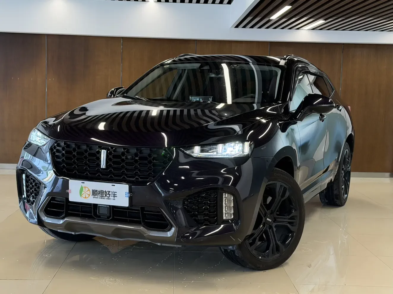 Wey Wei brand VV7