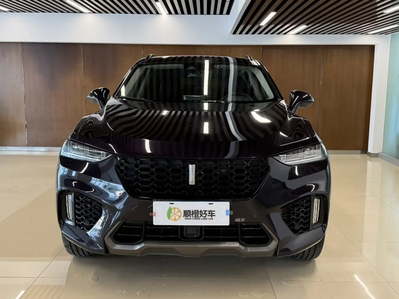 Wey Wei brand VV7