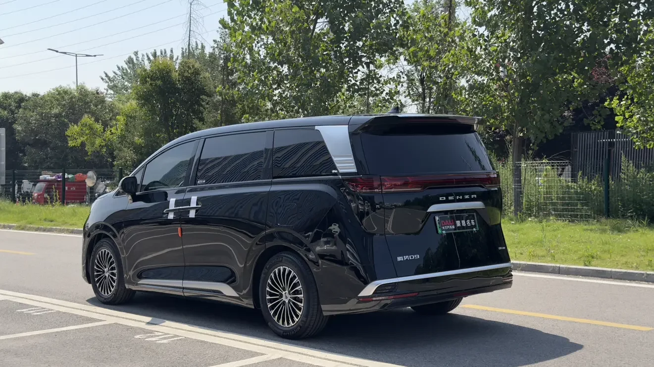 Denza D9 DM