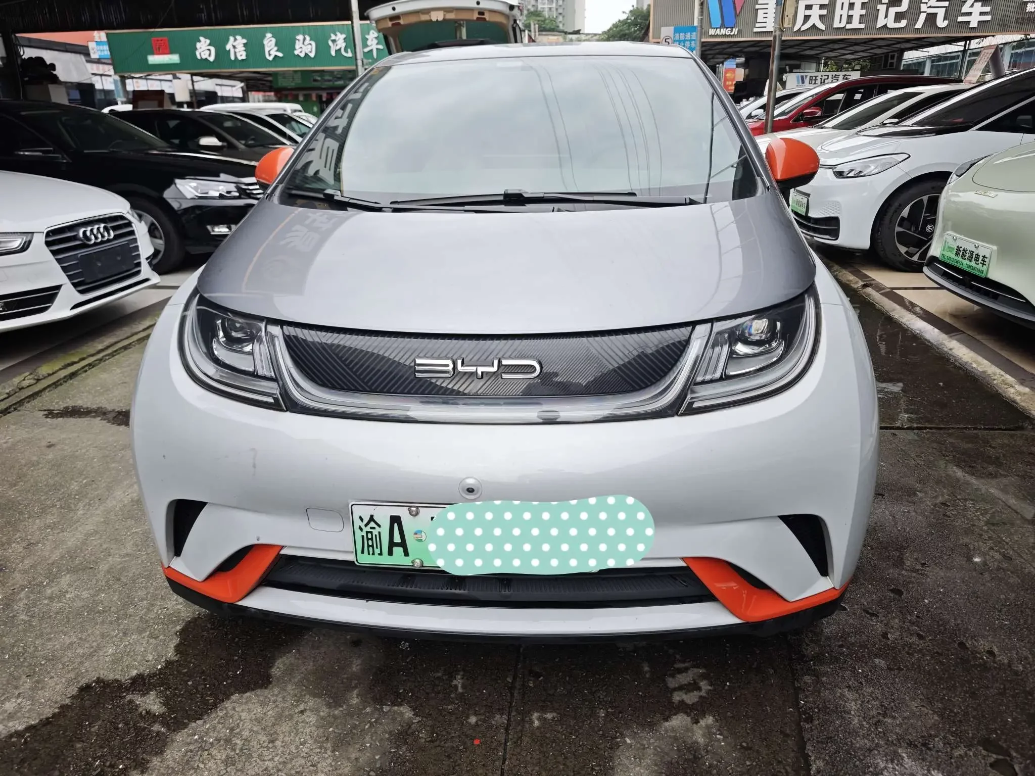 BYD dolphin