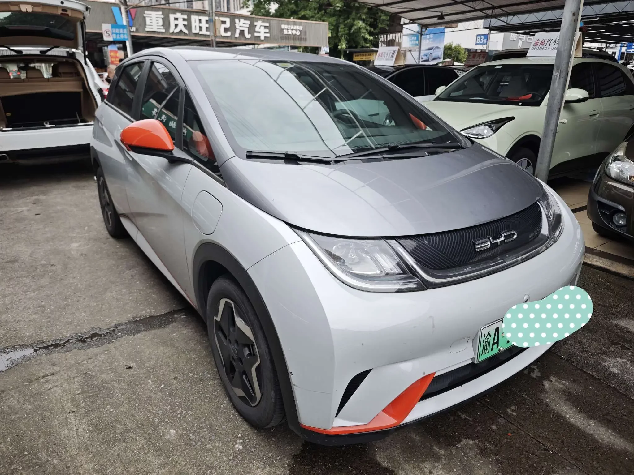 BYD dolphin