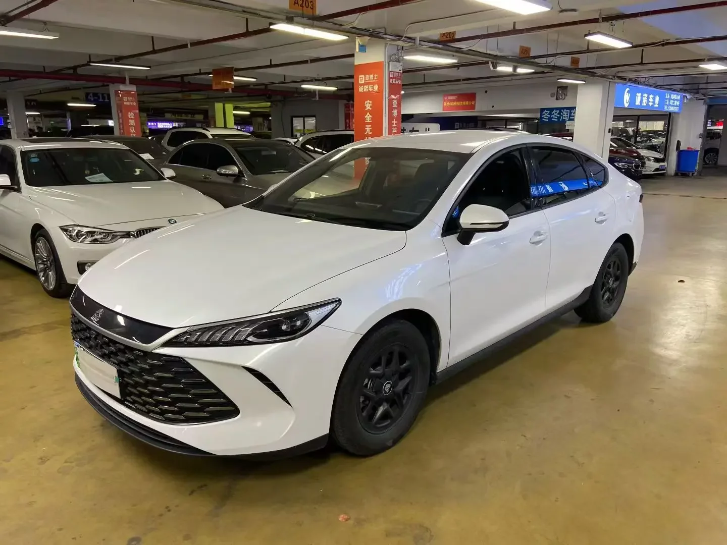 BYD Qin PLUS DM