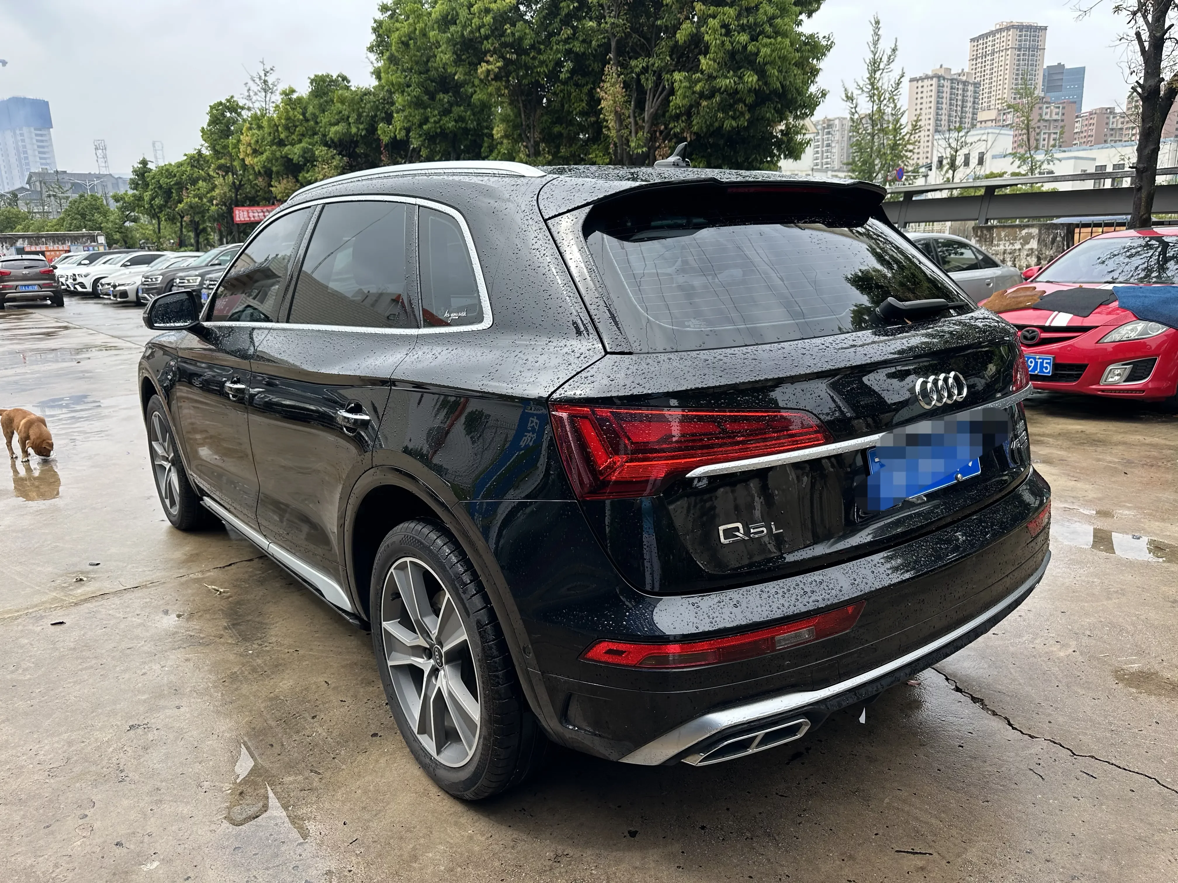 Audi Q5L