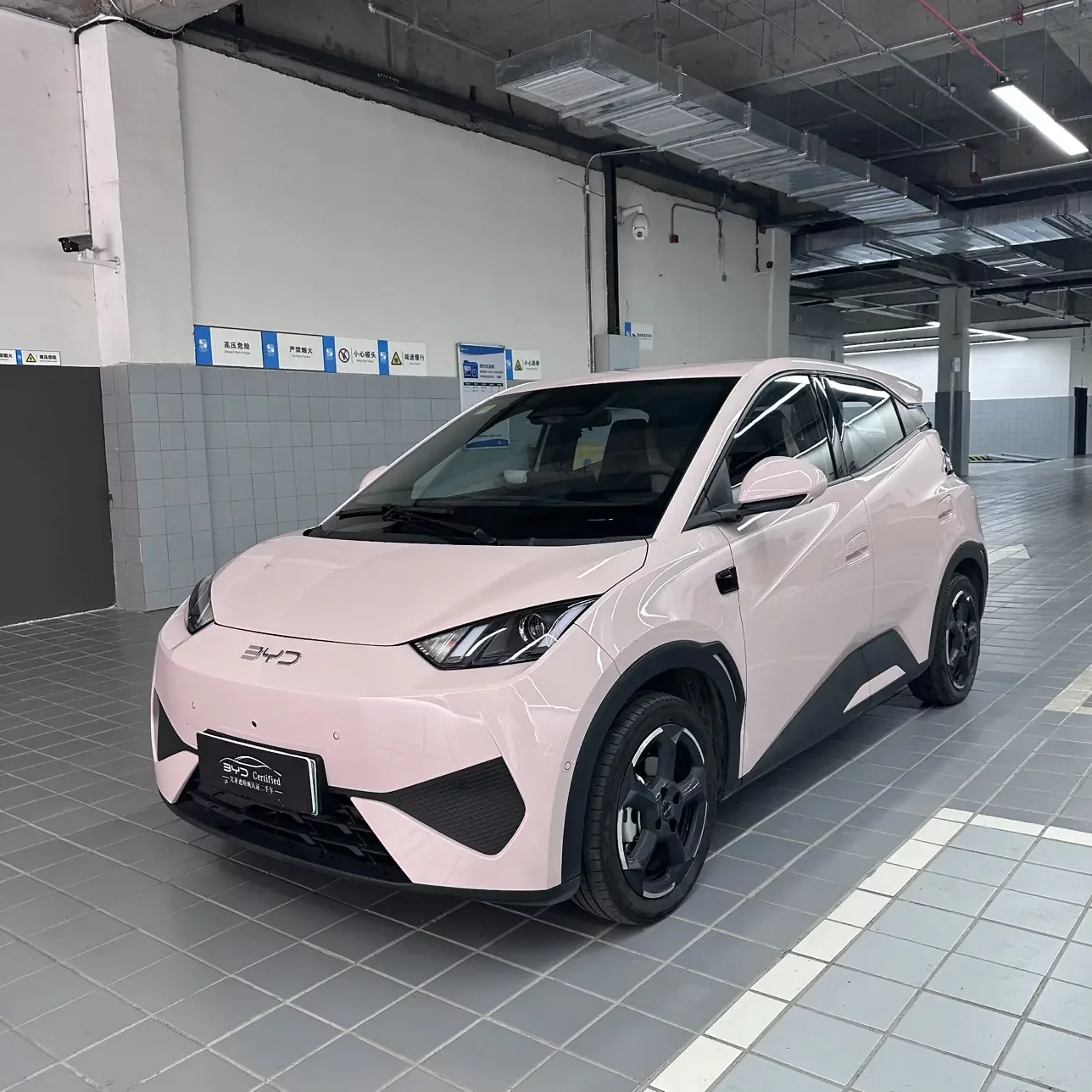 BYD seagull