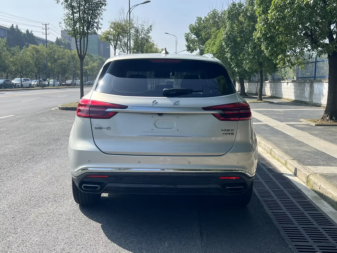 Hongqi HS5