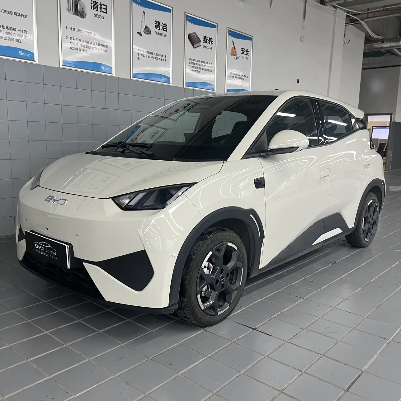BYD seagull