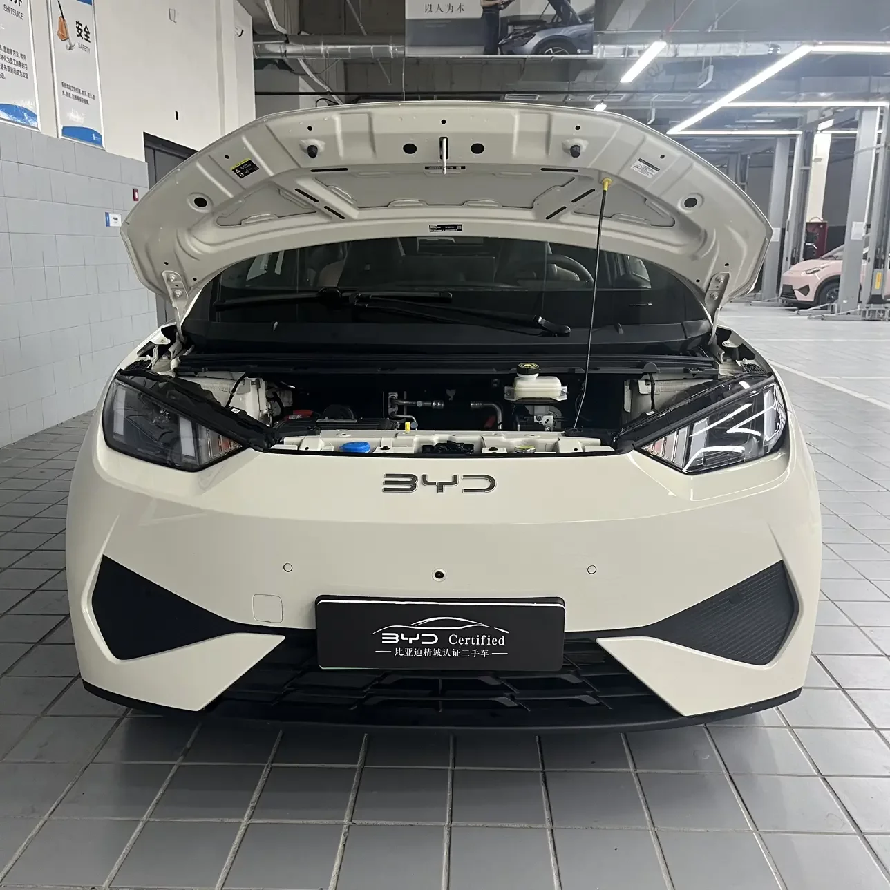 BYD seagull