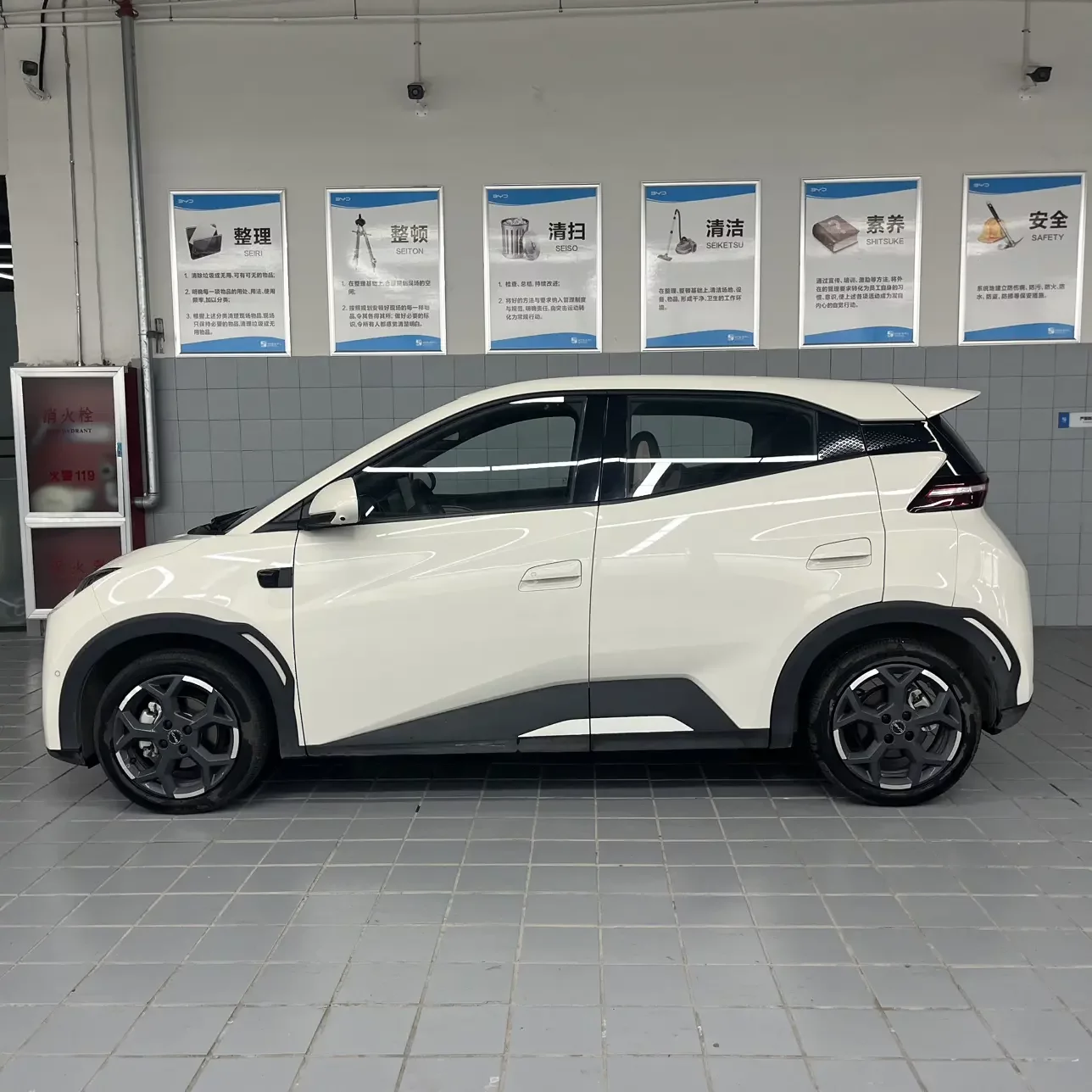 BYD seagull