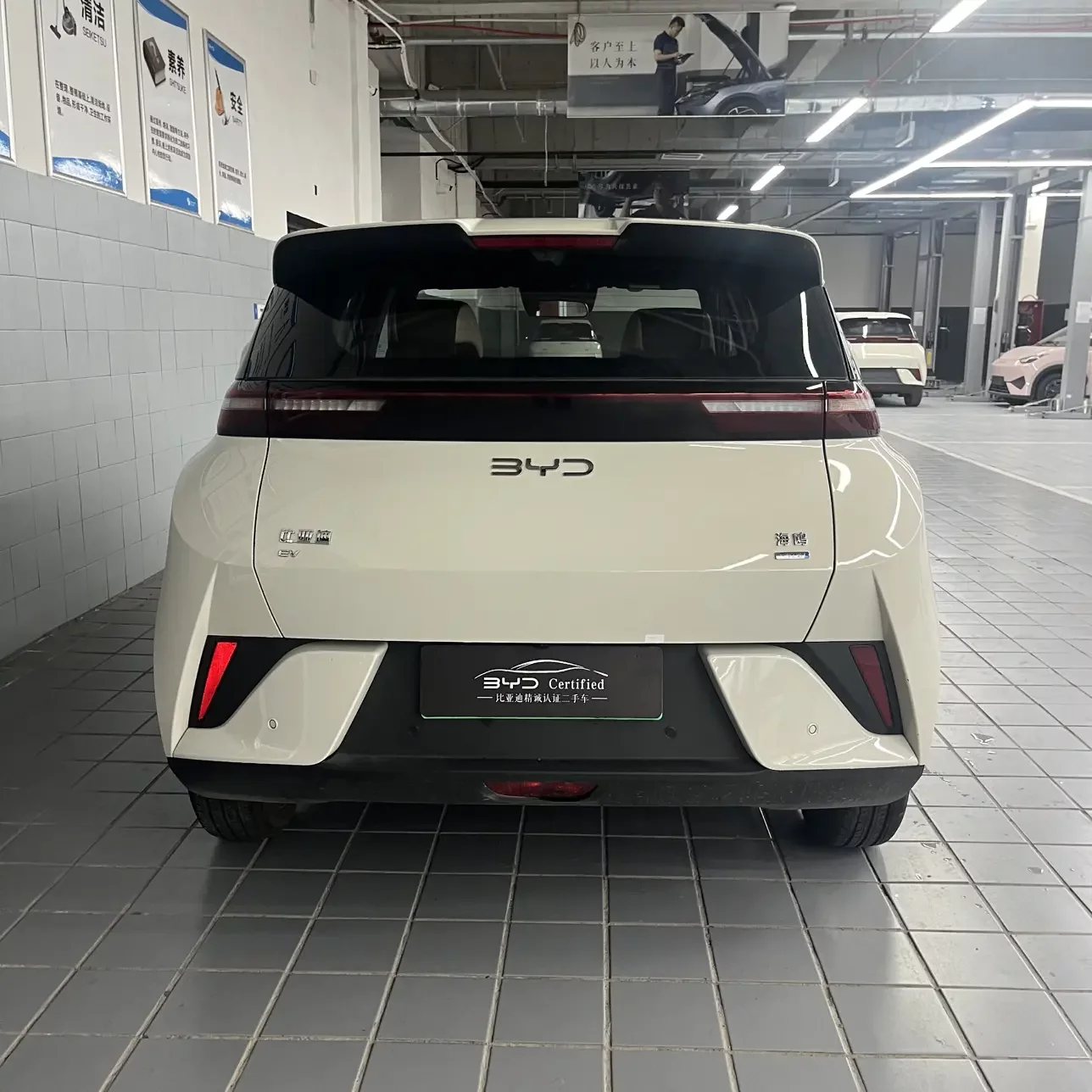 BYD seagull