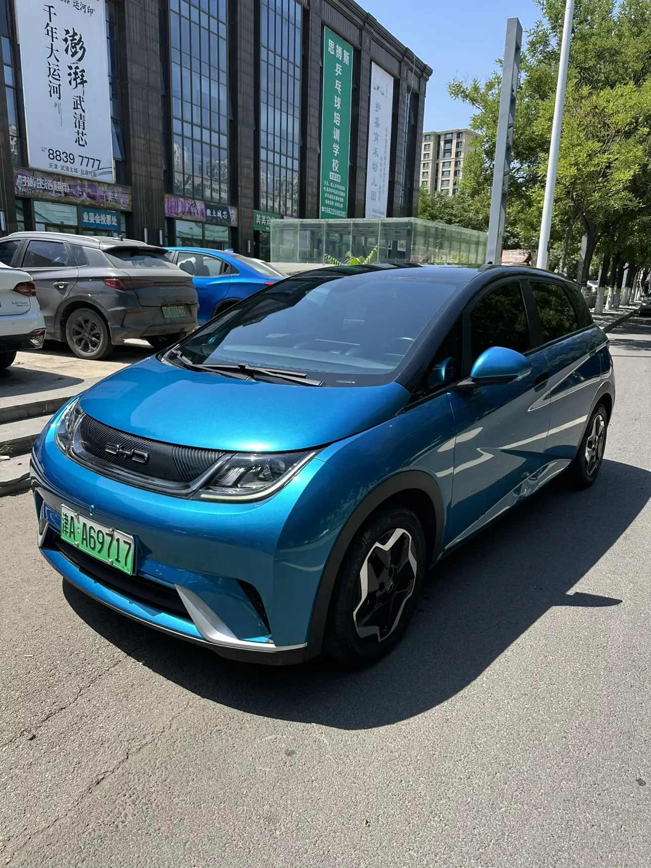 BYD dolphin