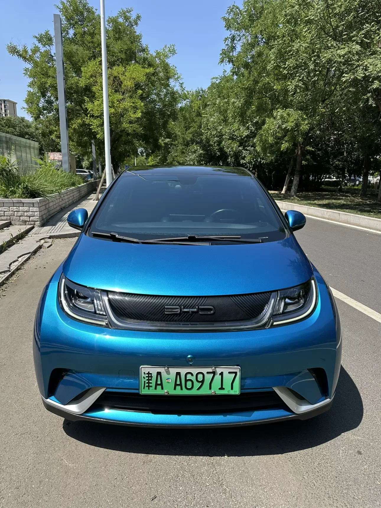 BYD dolphin
