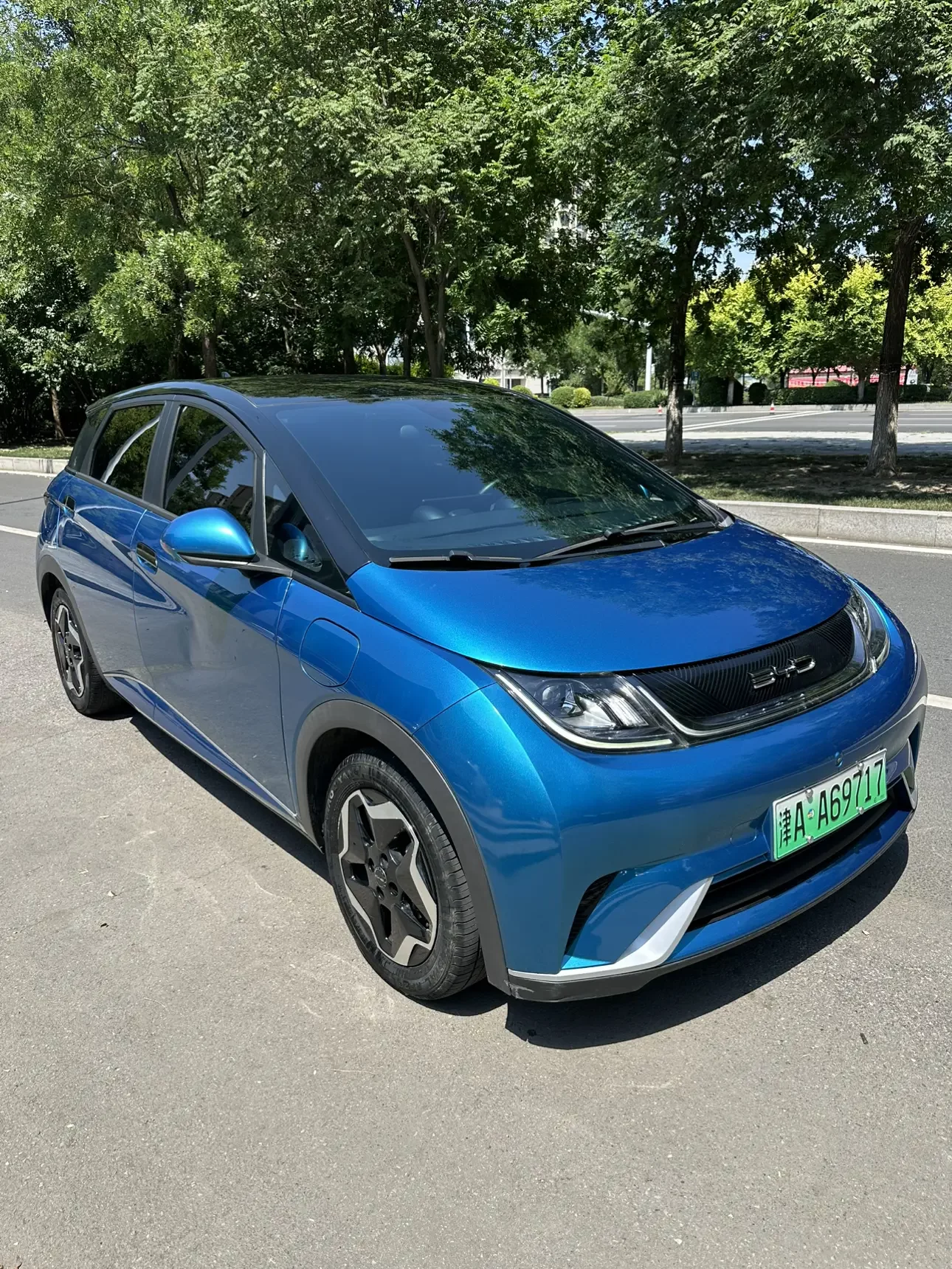 BYD dolphin