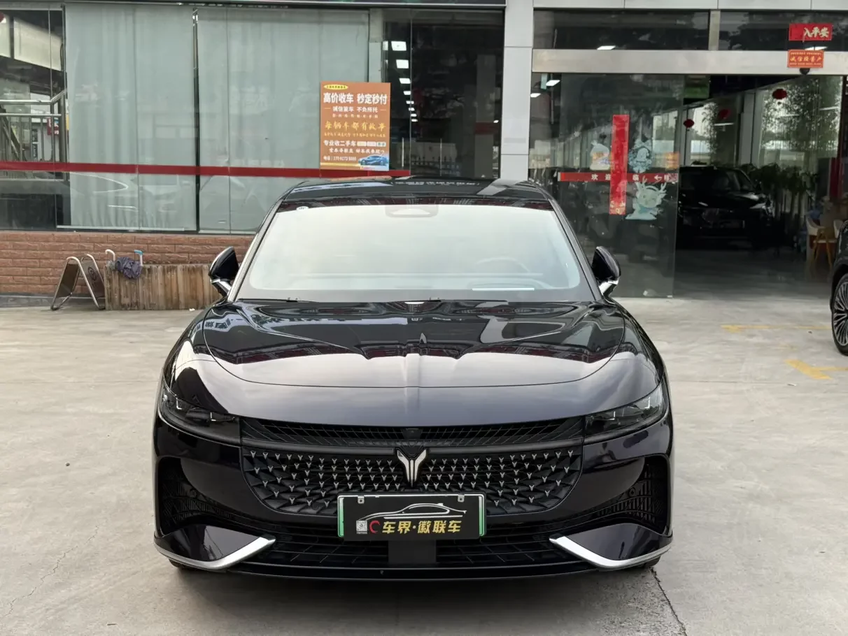 Voyah Passion PHEV