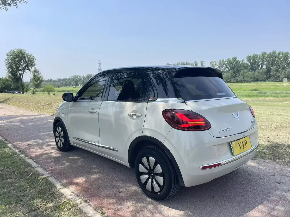 Wuling Bingo