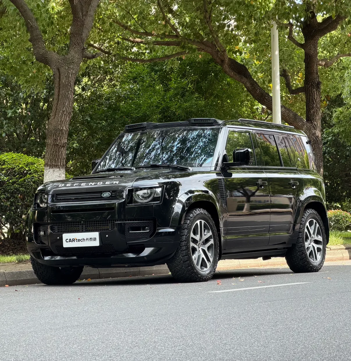 Land Rover guard