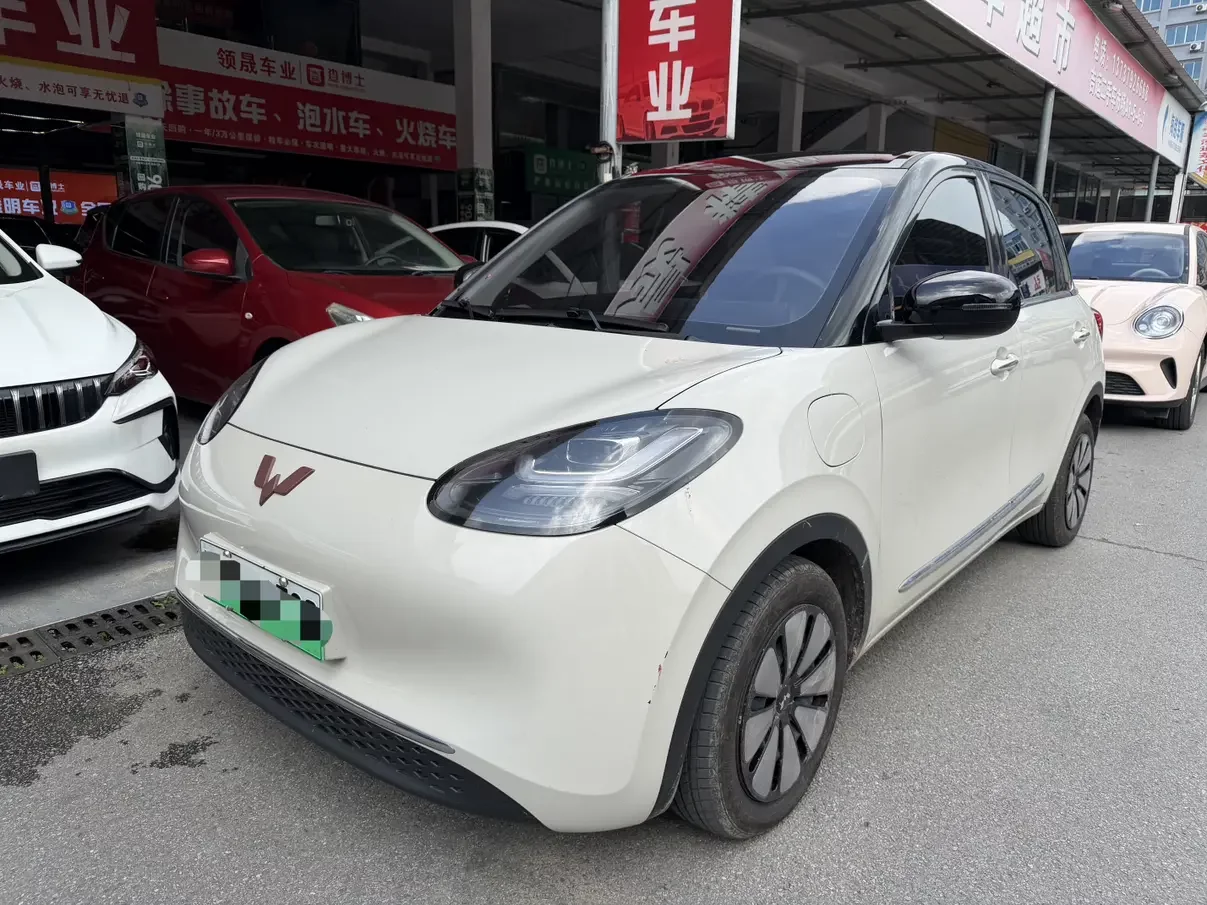 Wuling Bingo