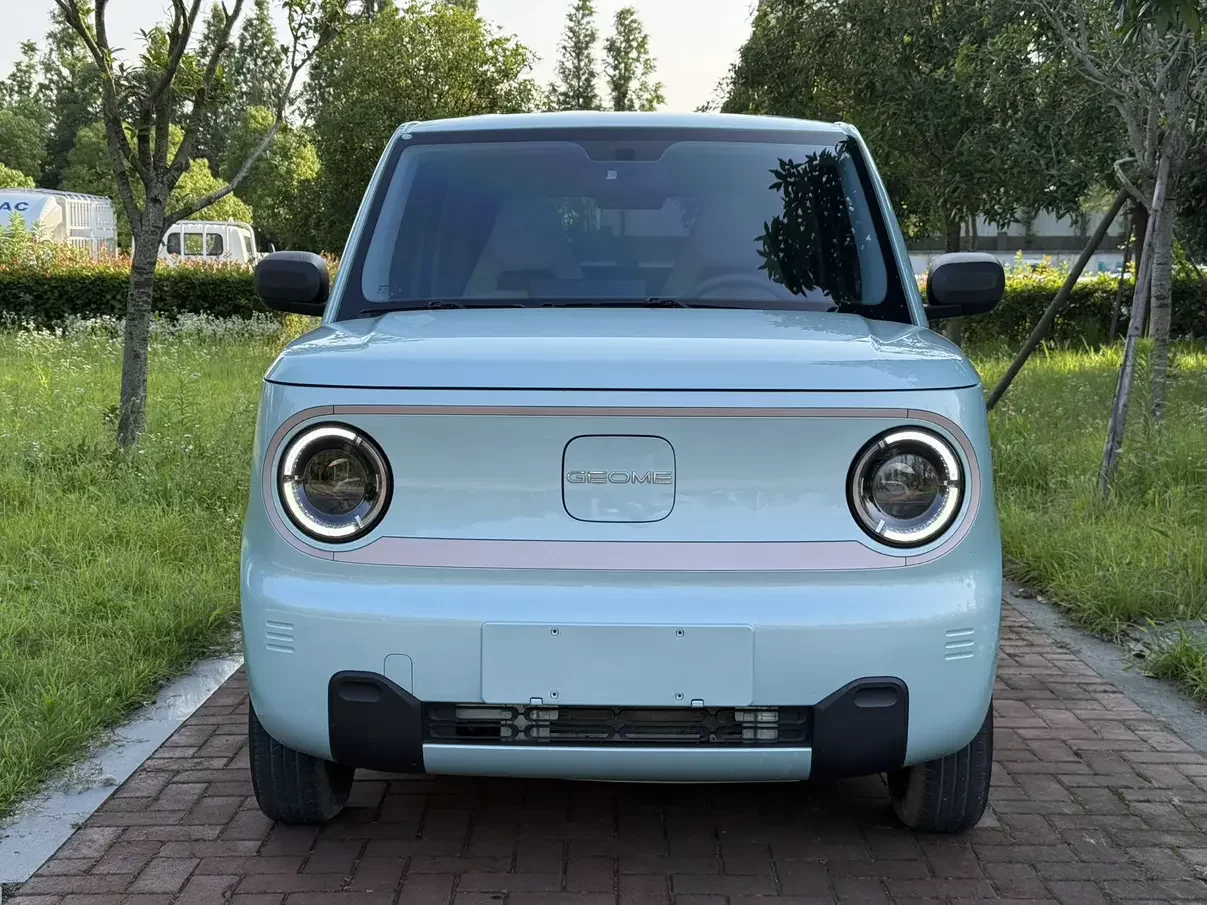 Geely panda