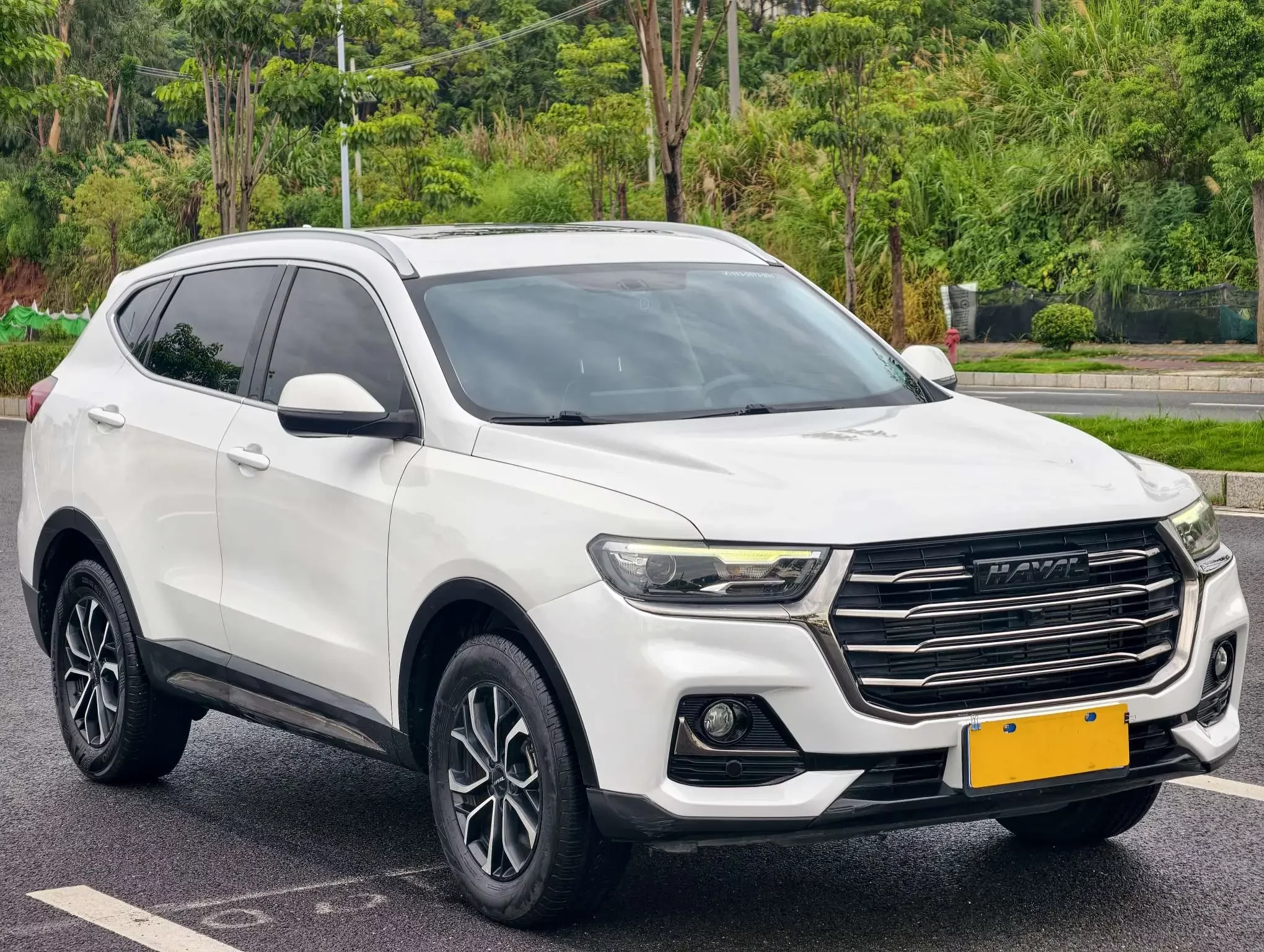 Haval H6