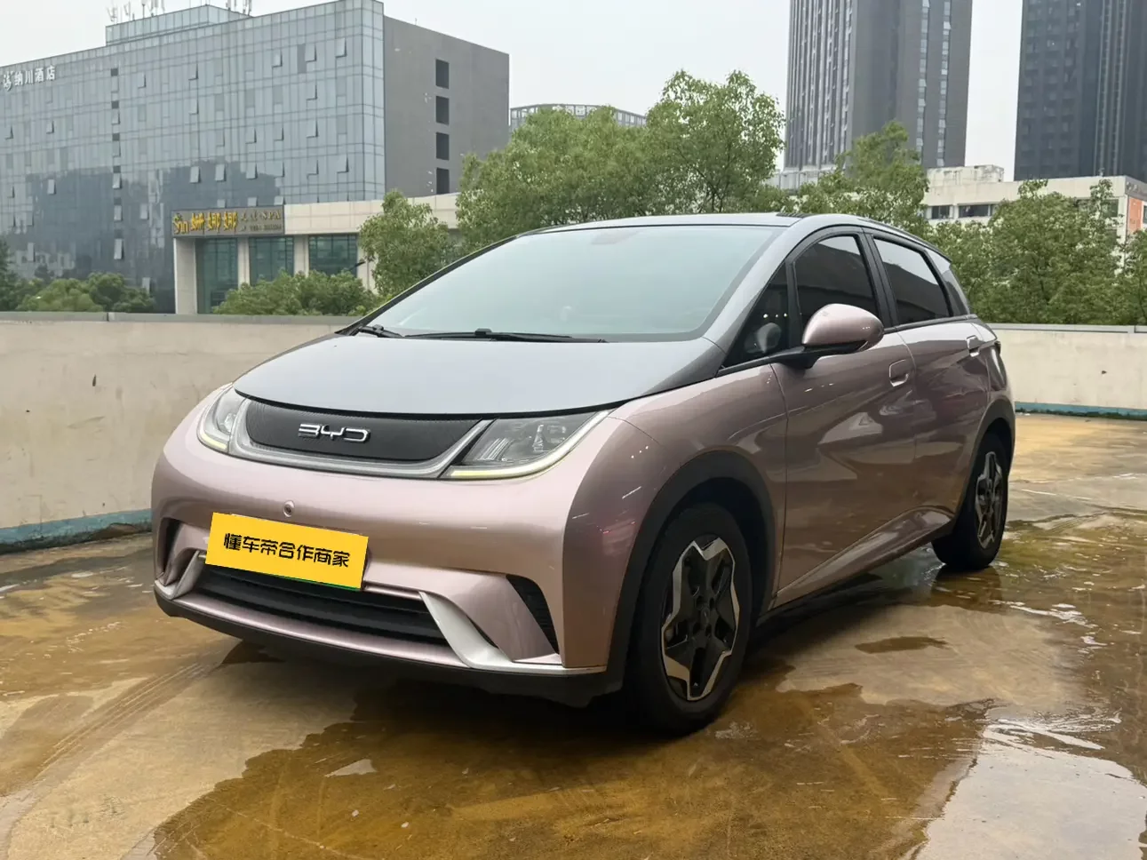 BYD dolphin