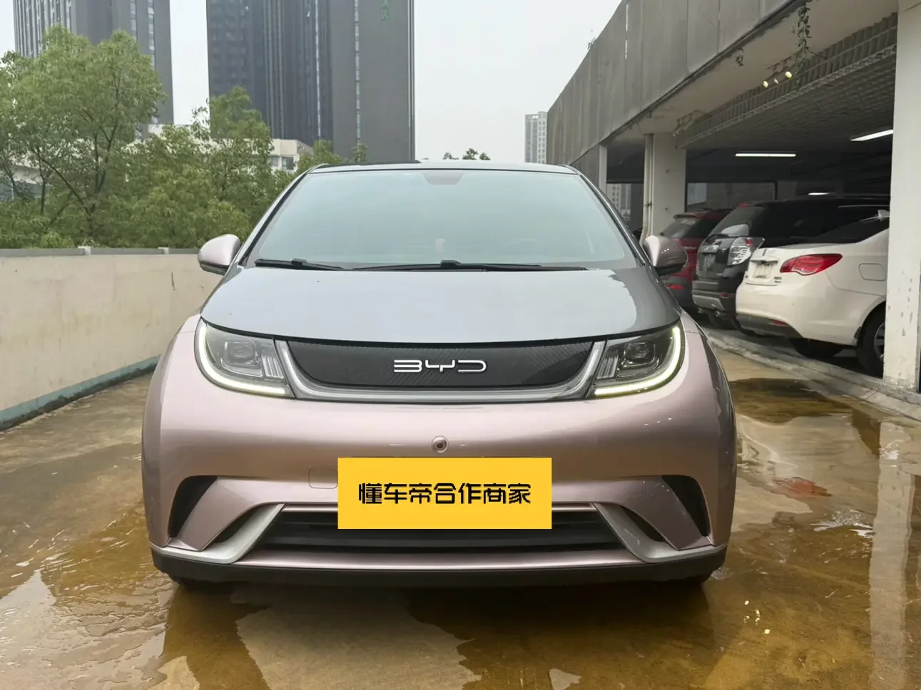BYD dolphin