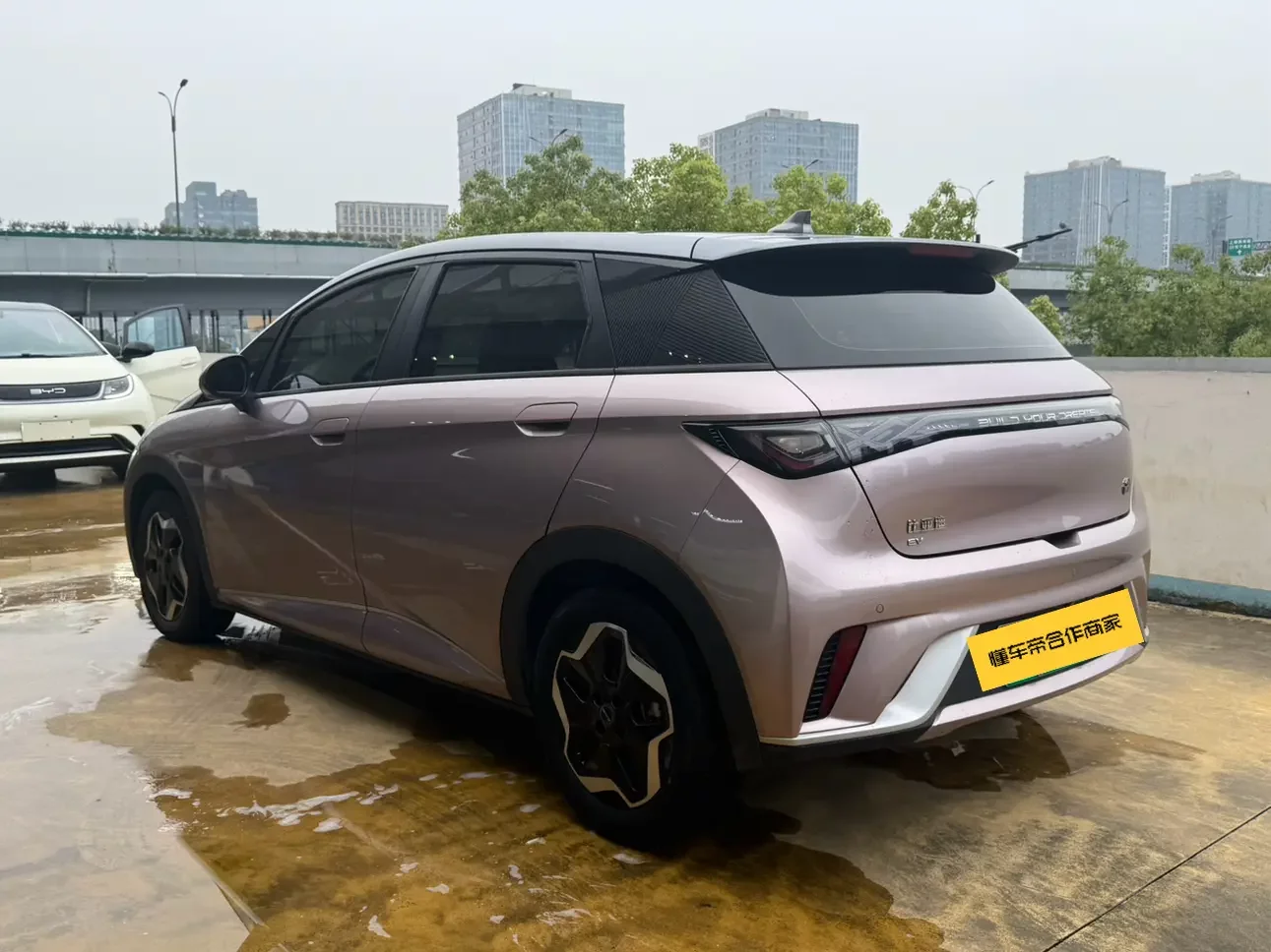 BYD dolphin