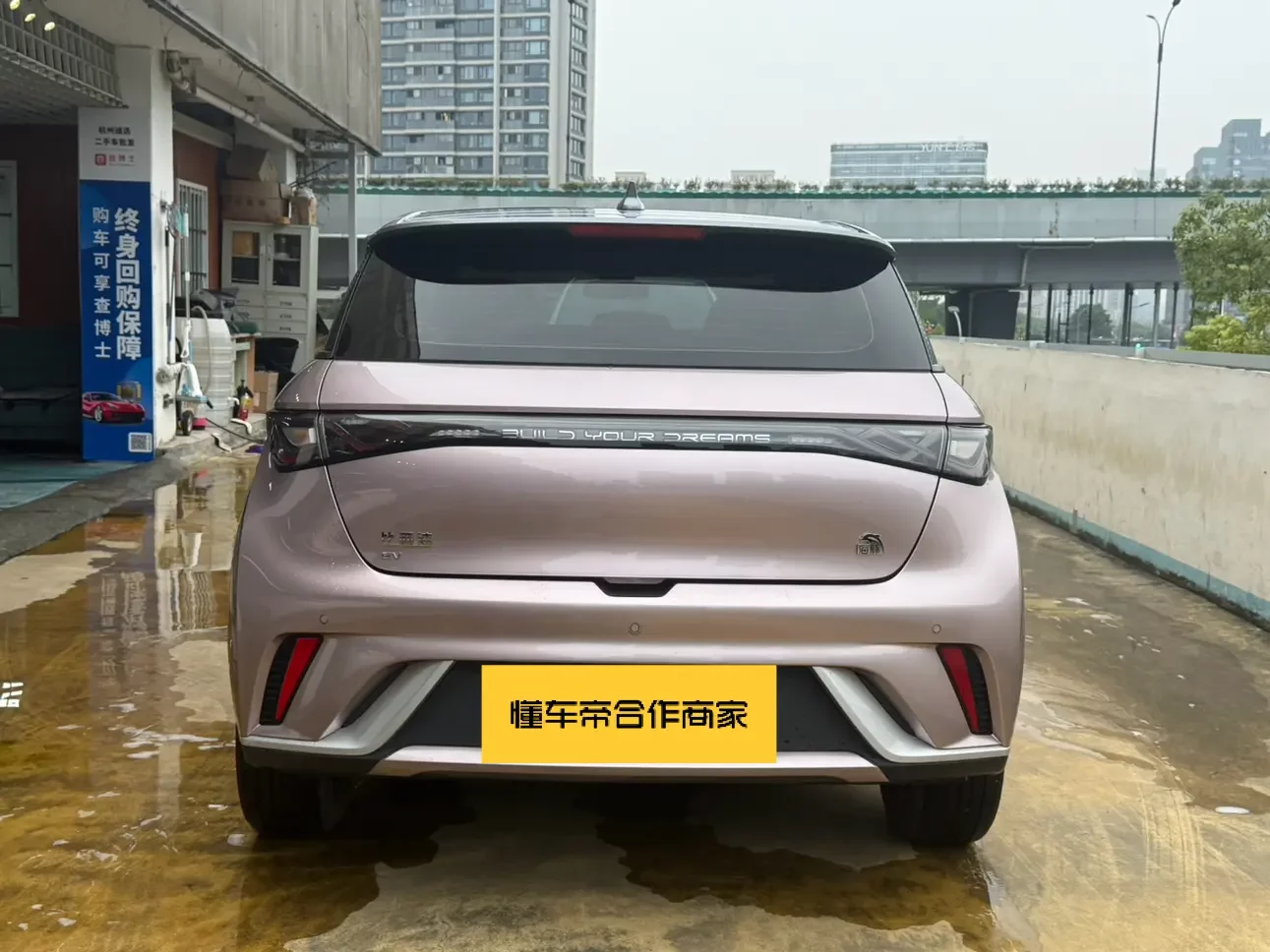 BYD dolphin