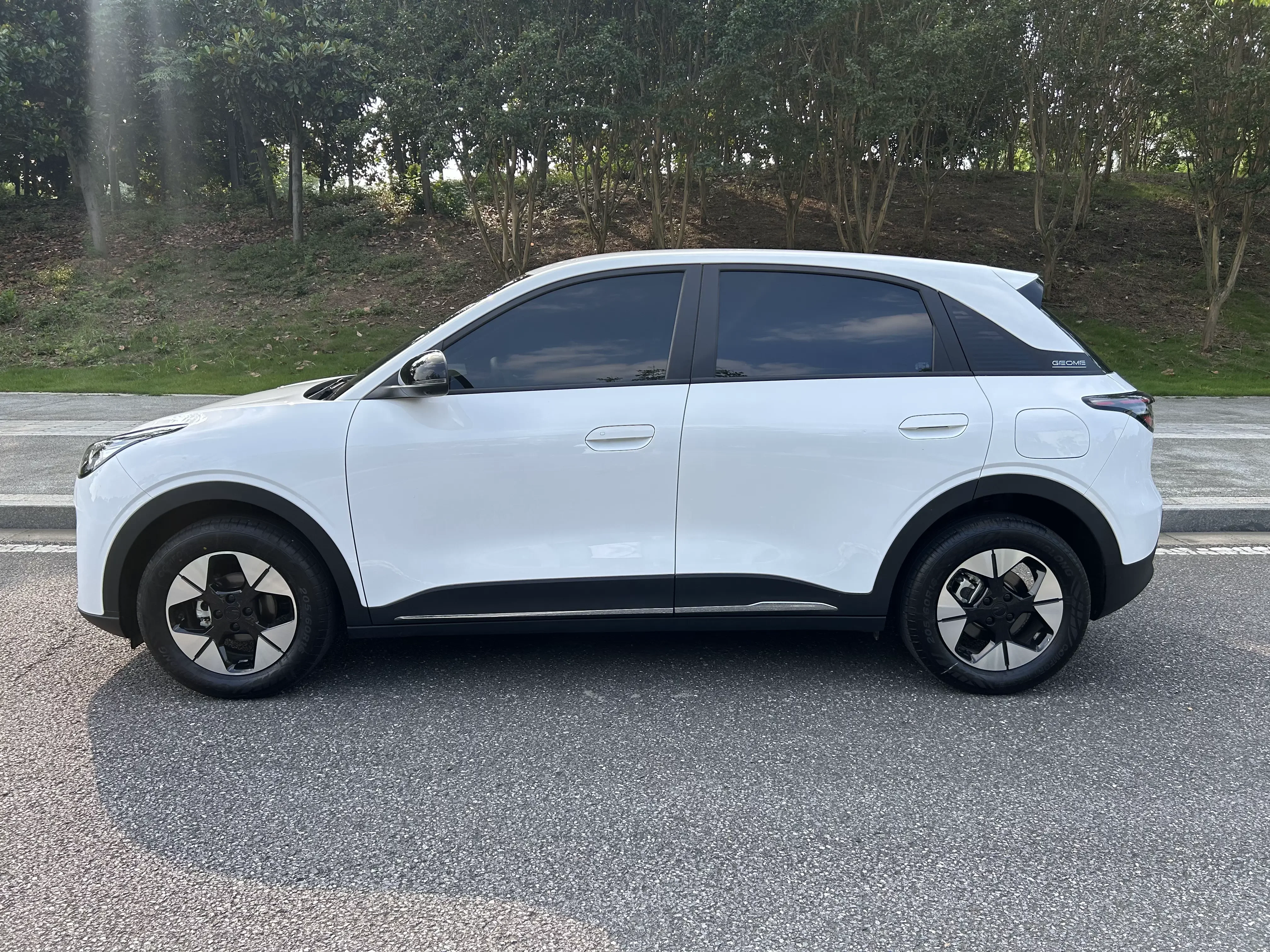 Geely Star Wish