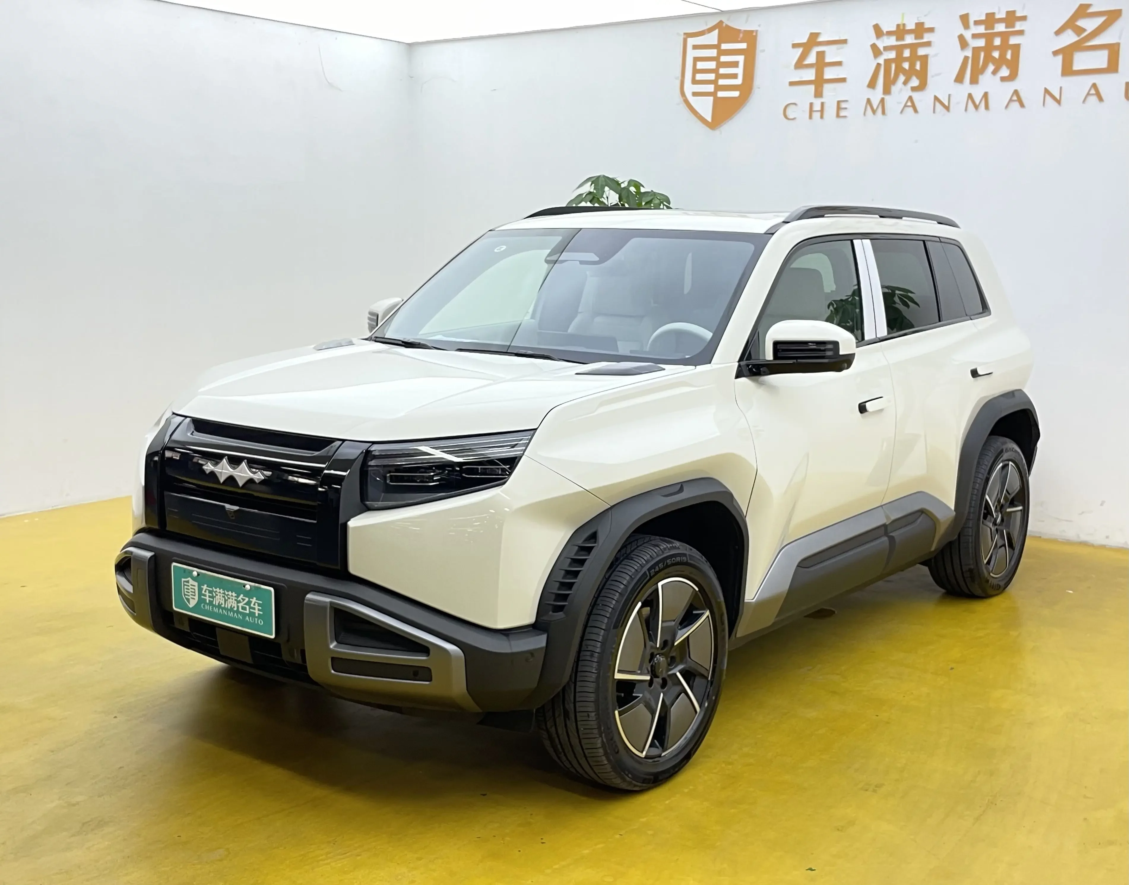BYD Leopard Titanium 3