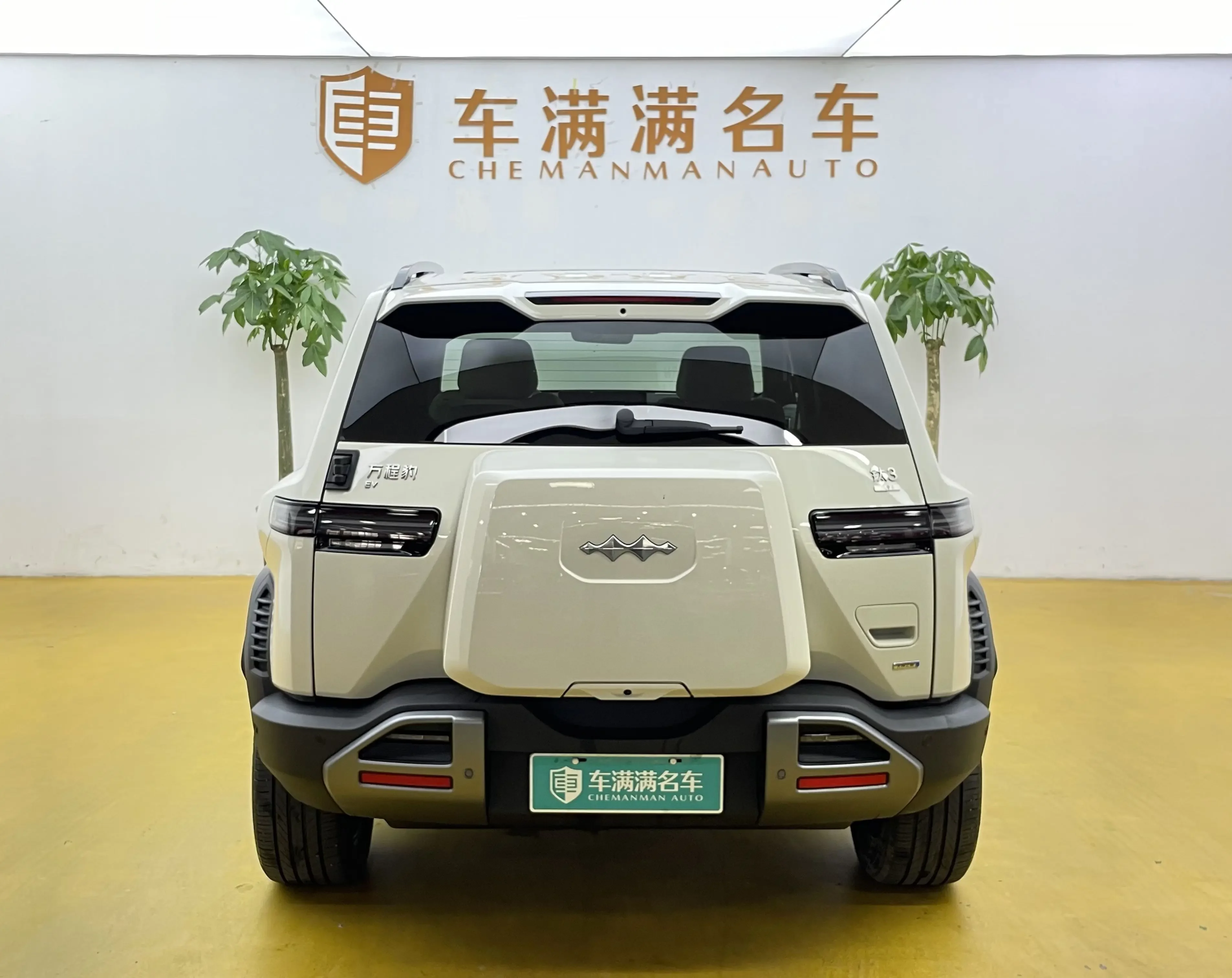 BYD Leopard Titanium 3