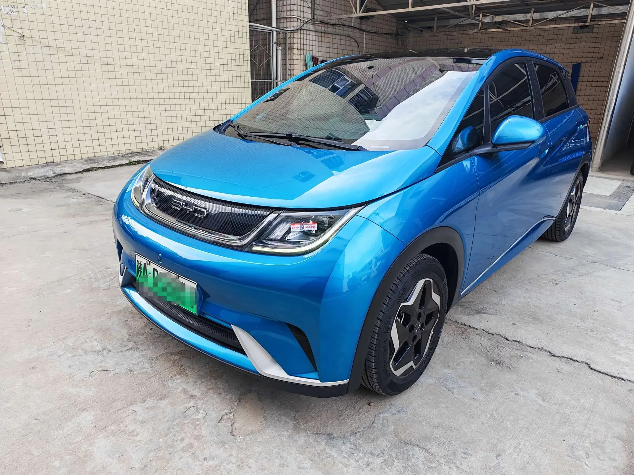 BYD dolphin