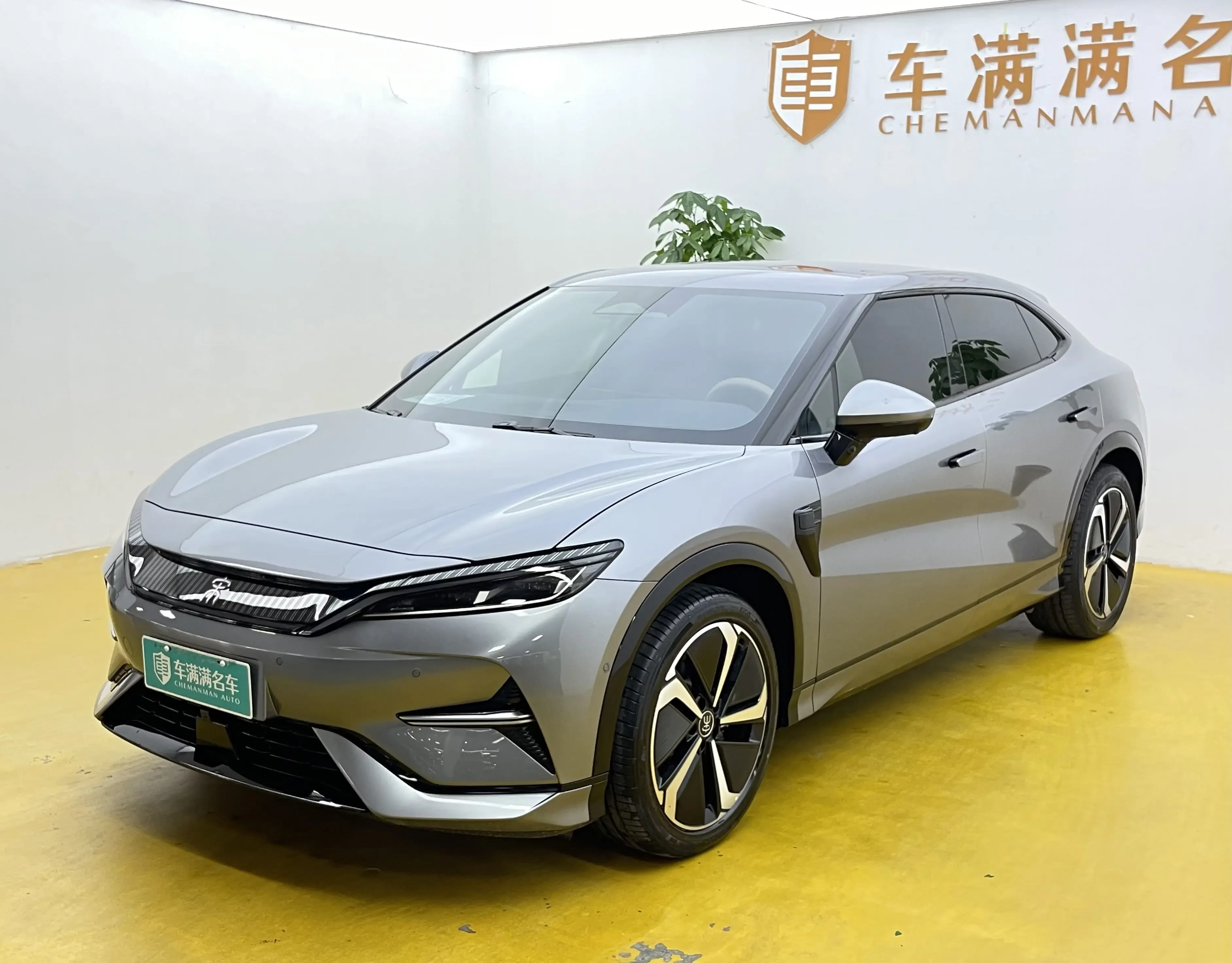 BYD Song L EV