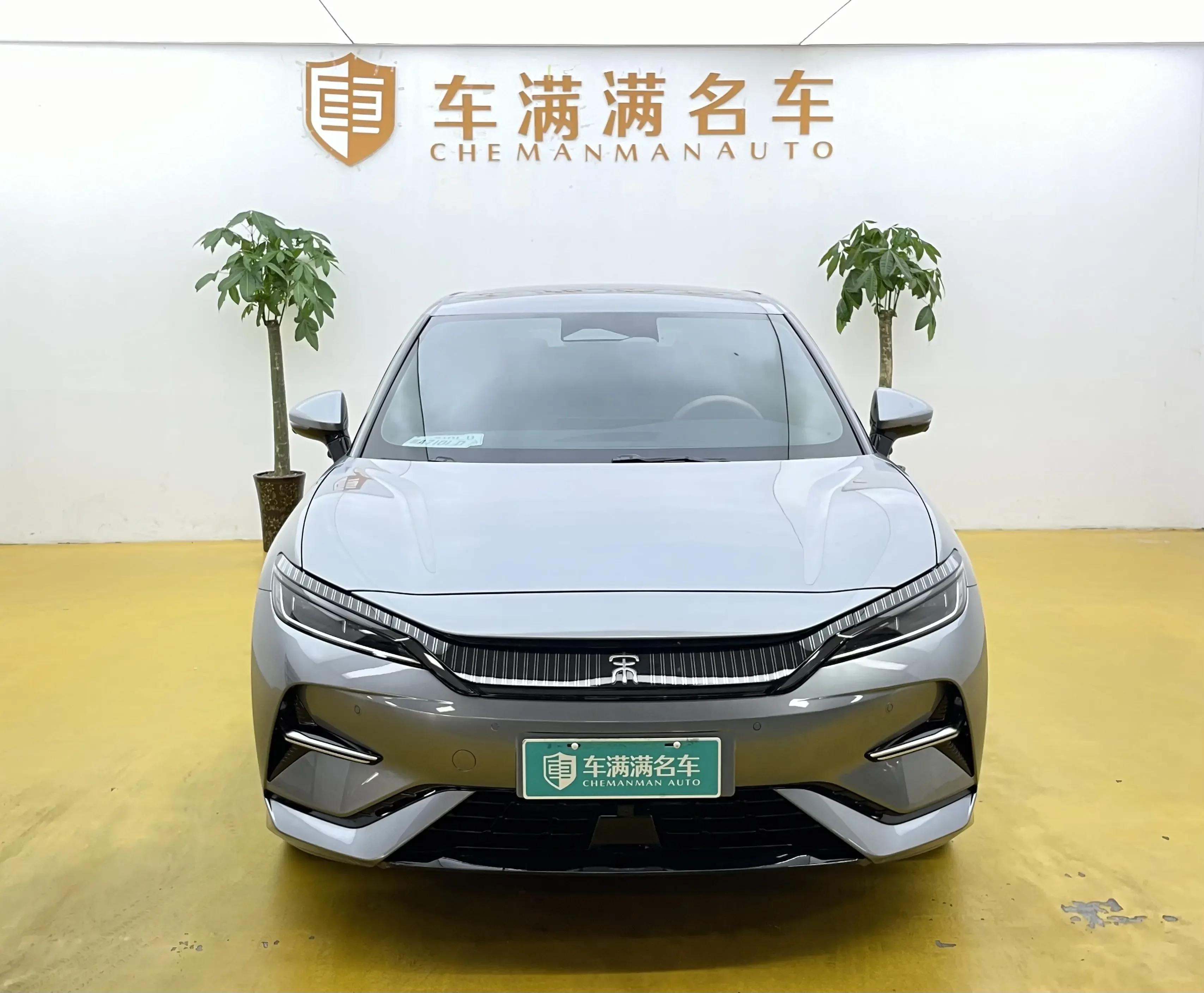 BYD Song L EV