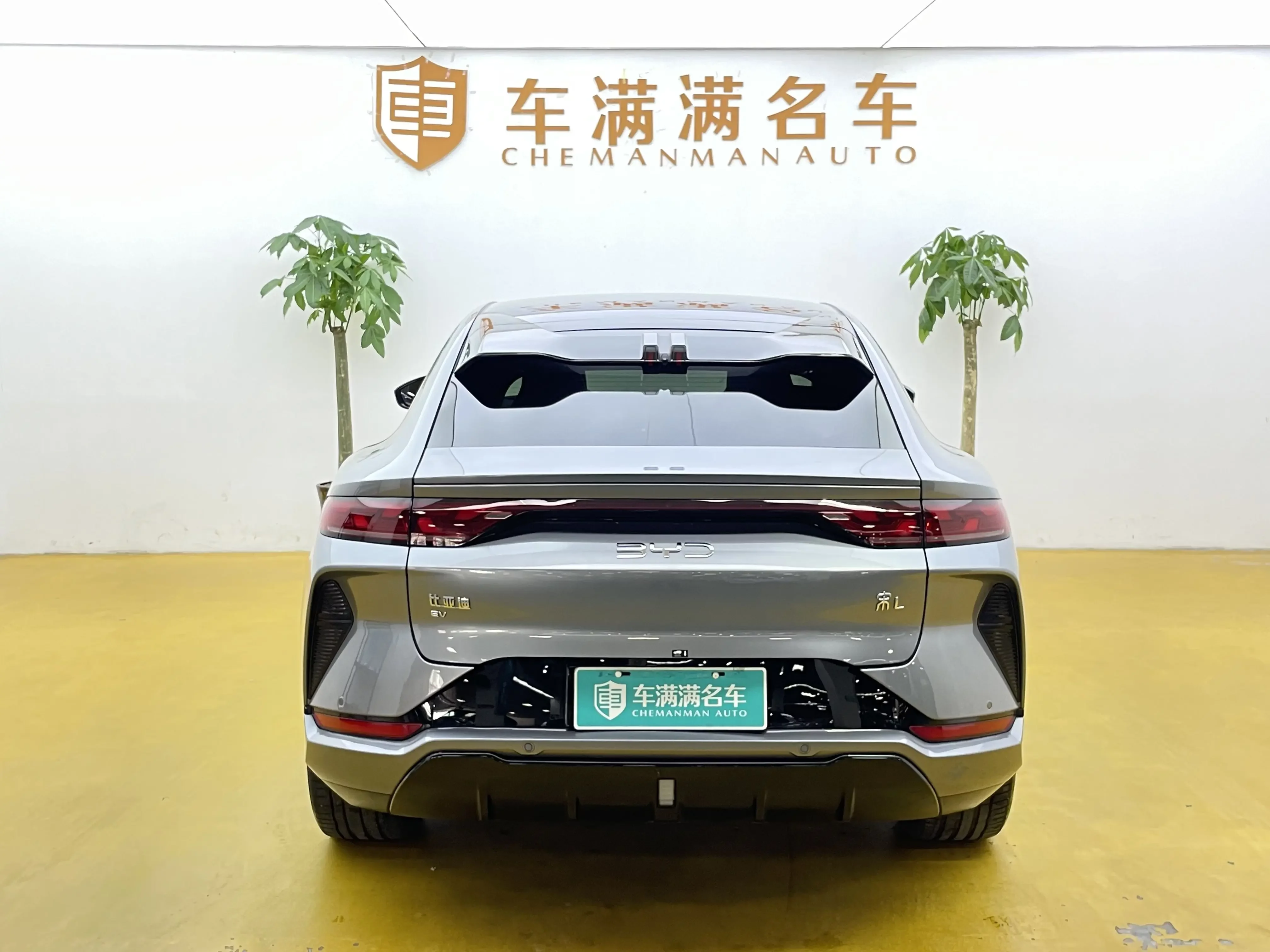 BYD Song L EV