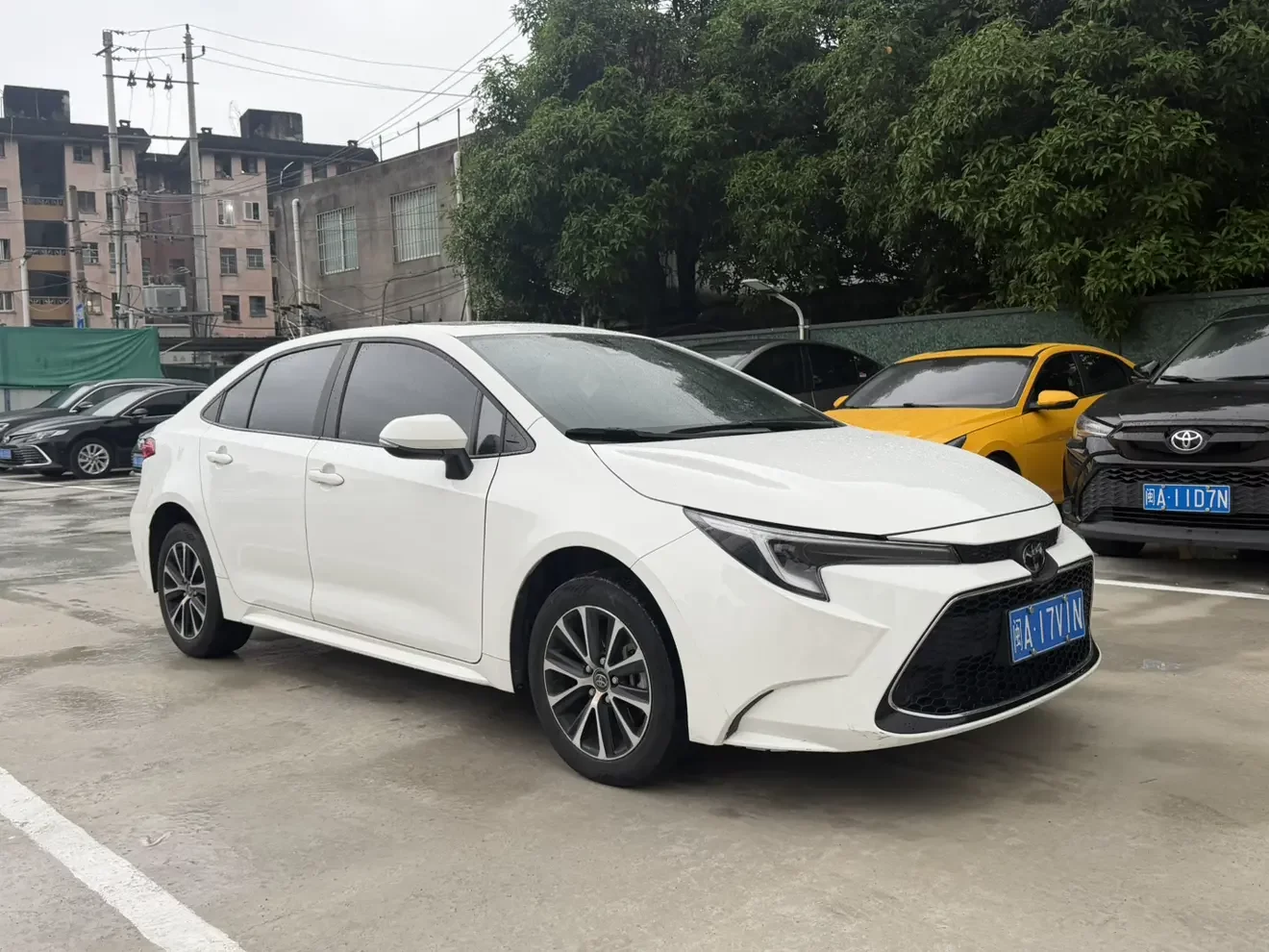 Toyota Levin