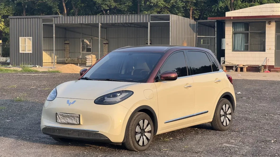 Wuling Bingo