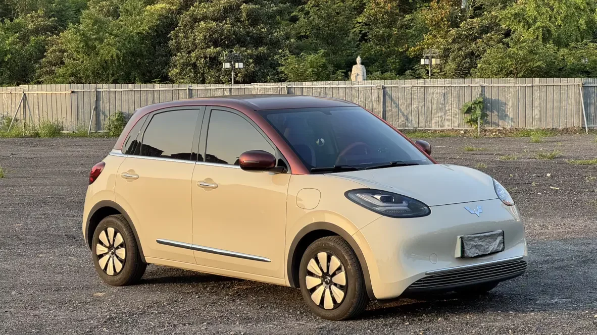 Wuling Bingo