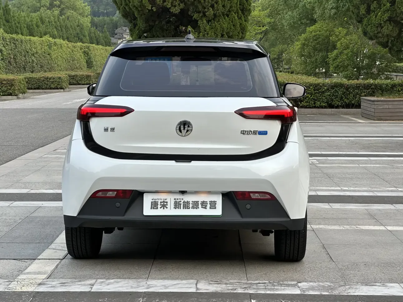 Electric House YOUNG Guang Xiaoxin