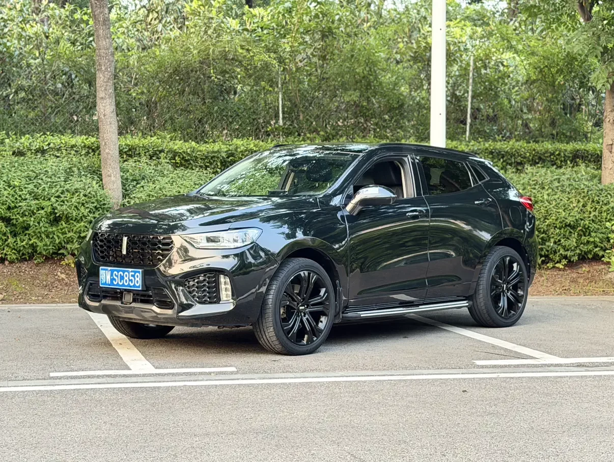 Wey Wei brand VV5