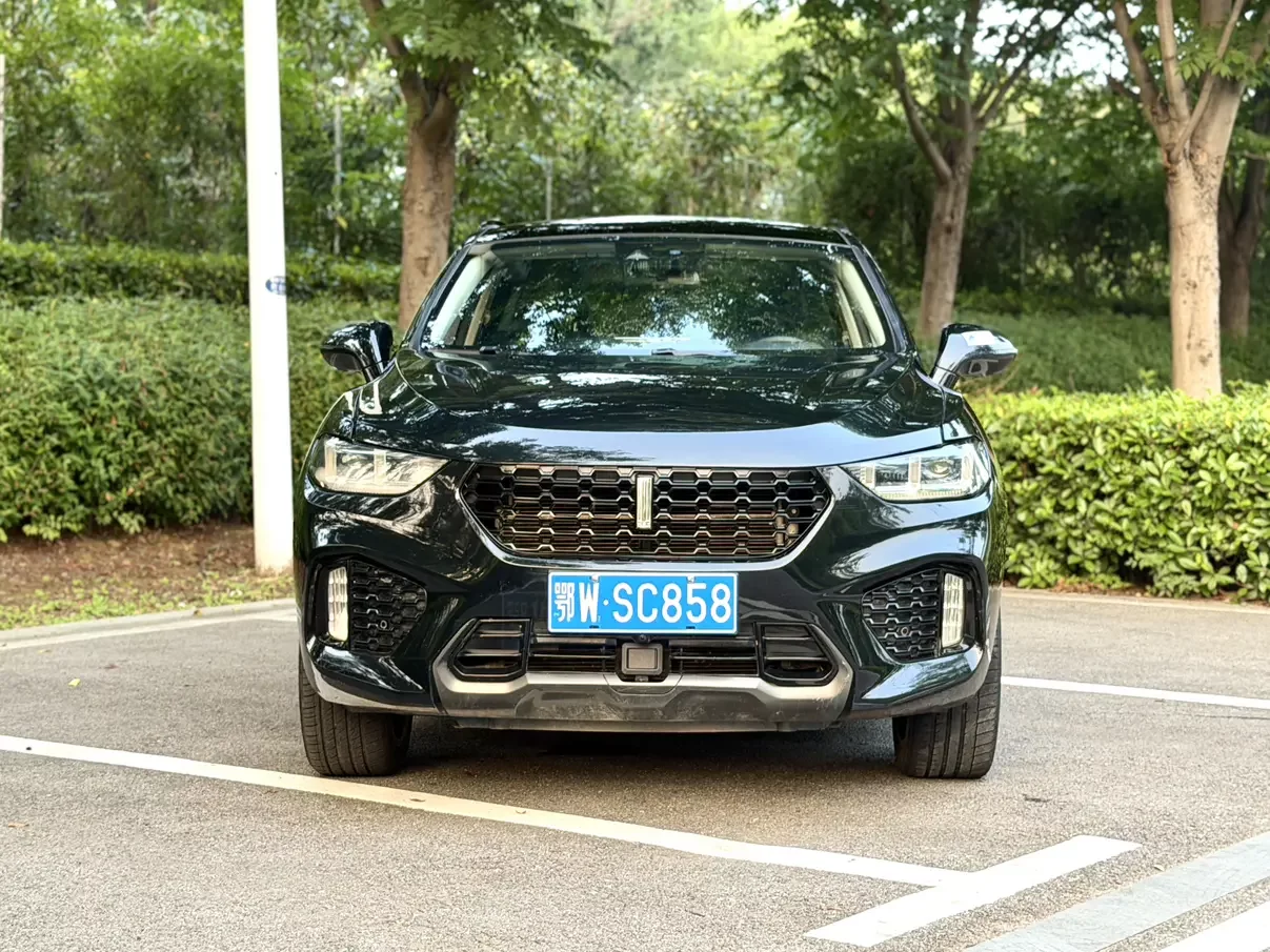 Wey Wei brand VV5