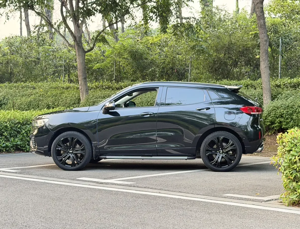 Wey Wei brand VV5