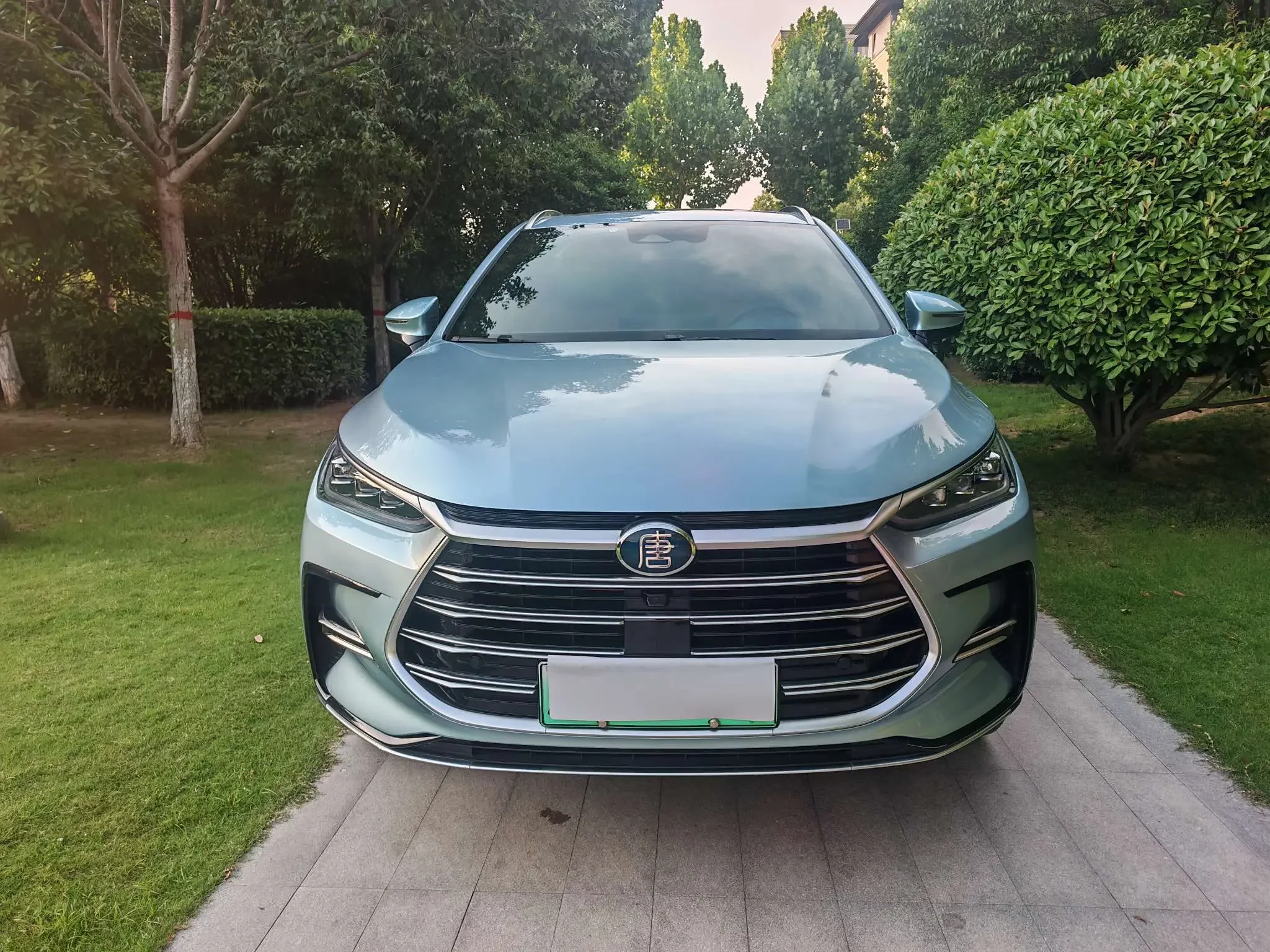 BYD Tang DM