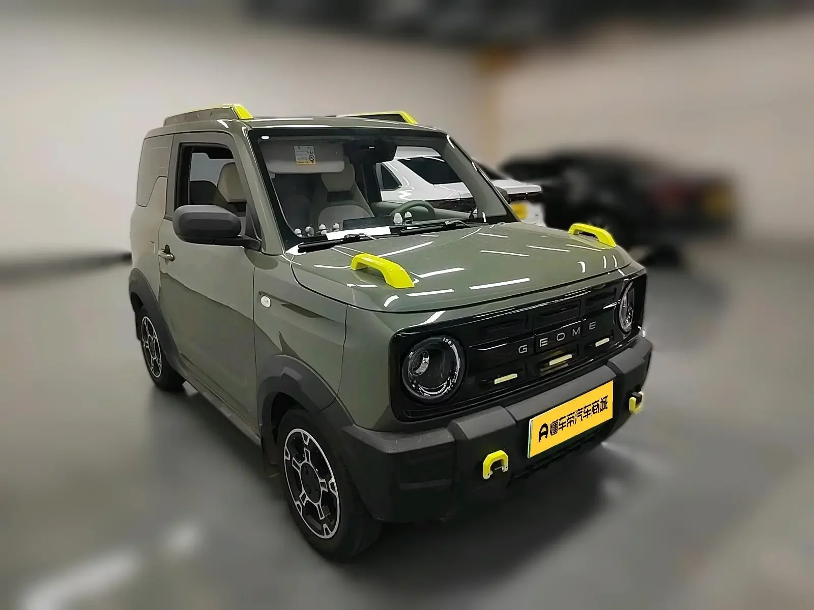 Geely panda