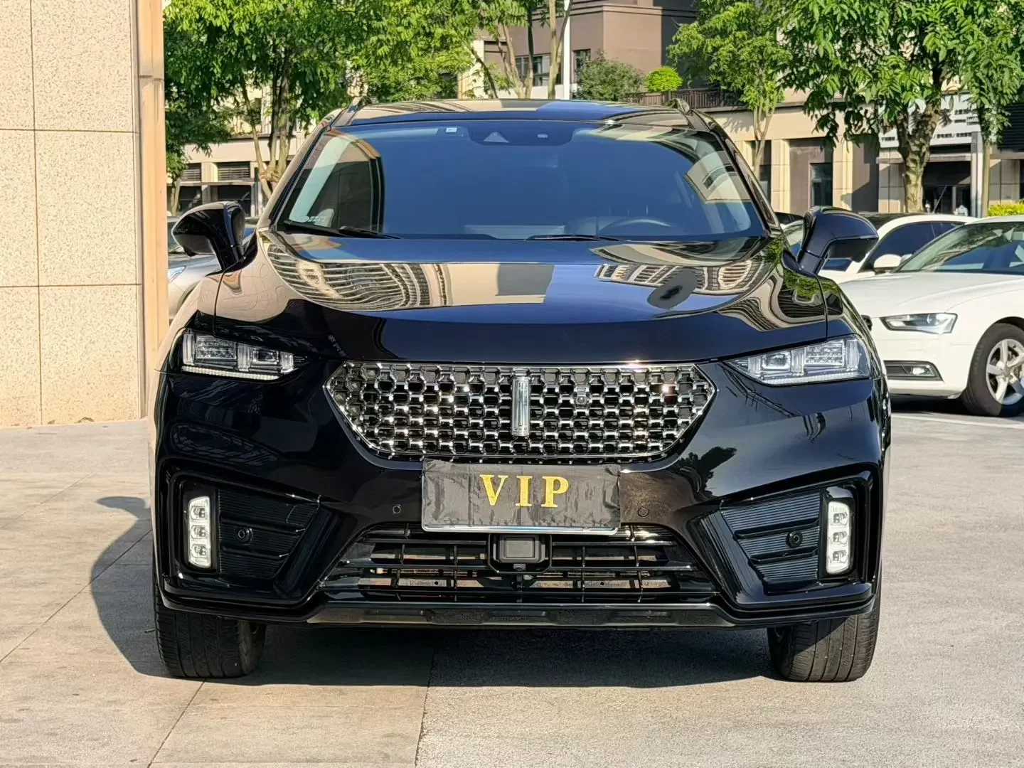 Wey Wei brand VV7
